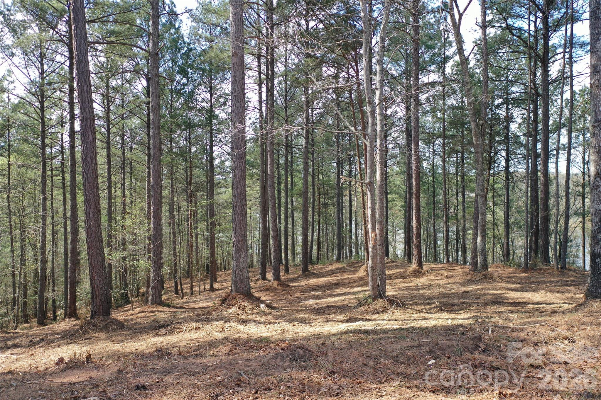 Sloping and level areas to build. - 2299 Lighthouse Lane, Connelly Springs