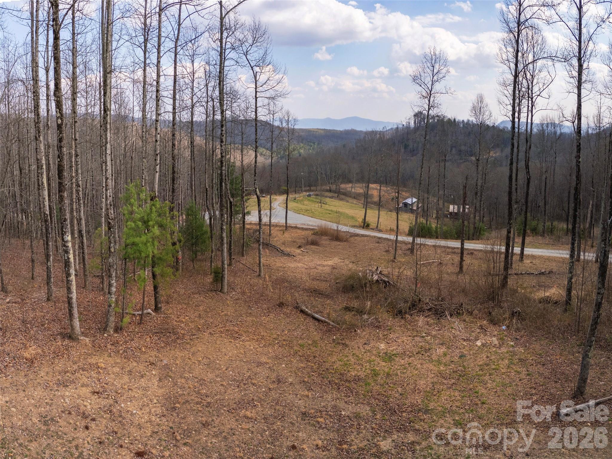 Lot at 220 Simply Grateful Drive, Hendersonville, photo 3 of 17