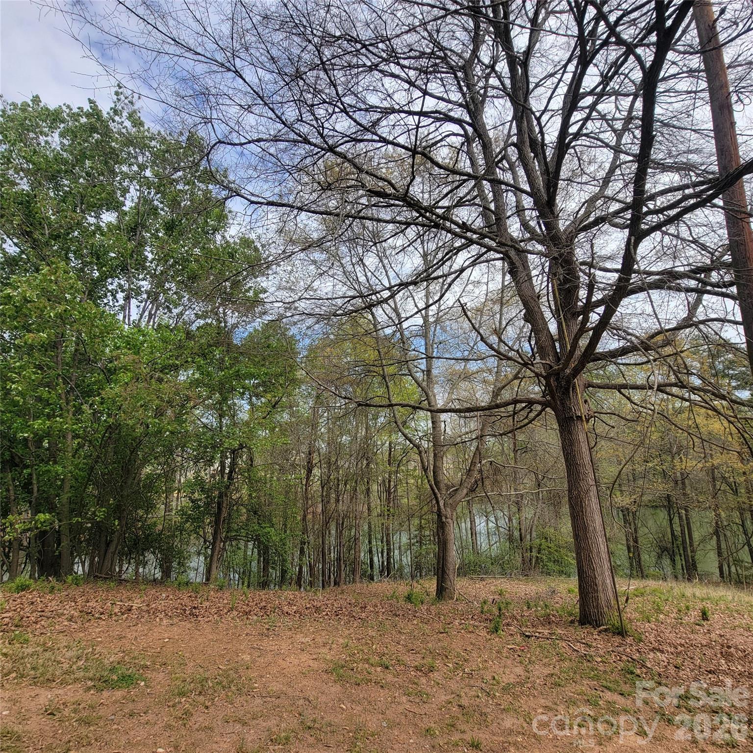 Water views on the R edge of parcel #2 and the L side of parcel #1 - 230 Walnut Street, Belmont