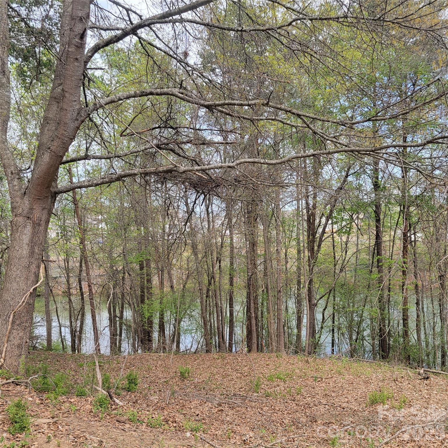 Lake Wylie Views through the trees - 230 Walnut Street, Belmont