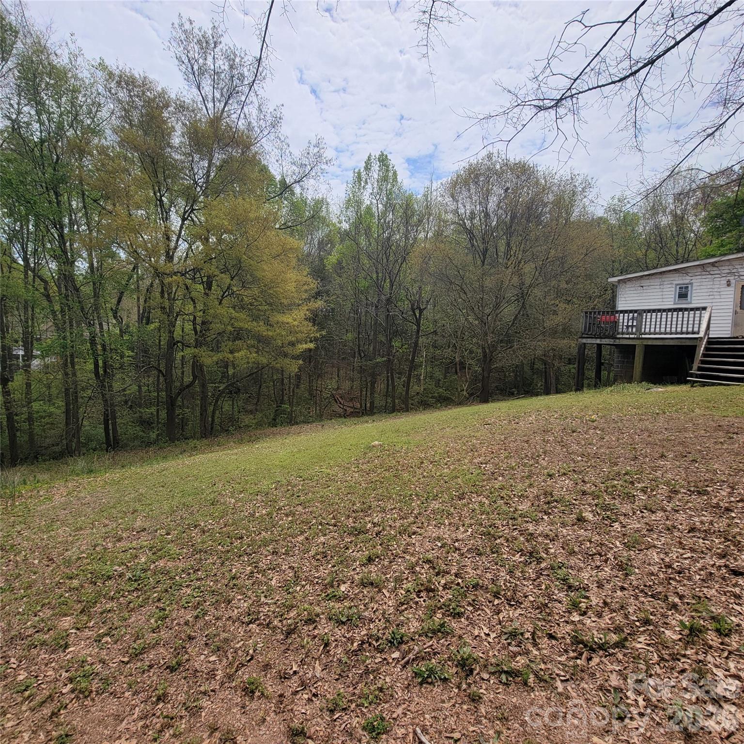 The land behind 230 Walnut Street (parcel #1) - 230 Walnut Street, Belmont