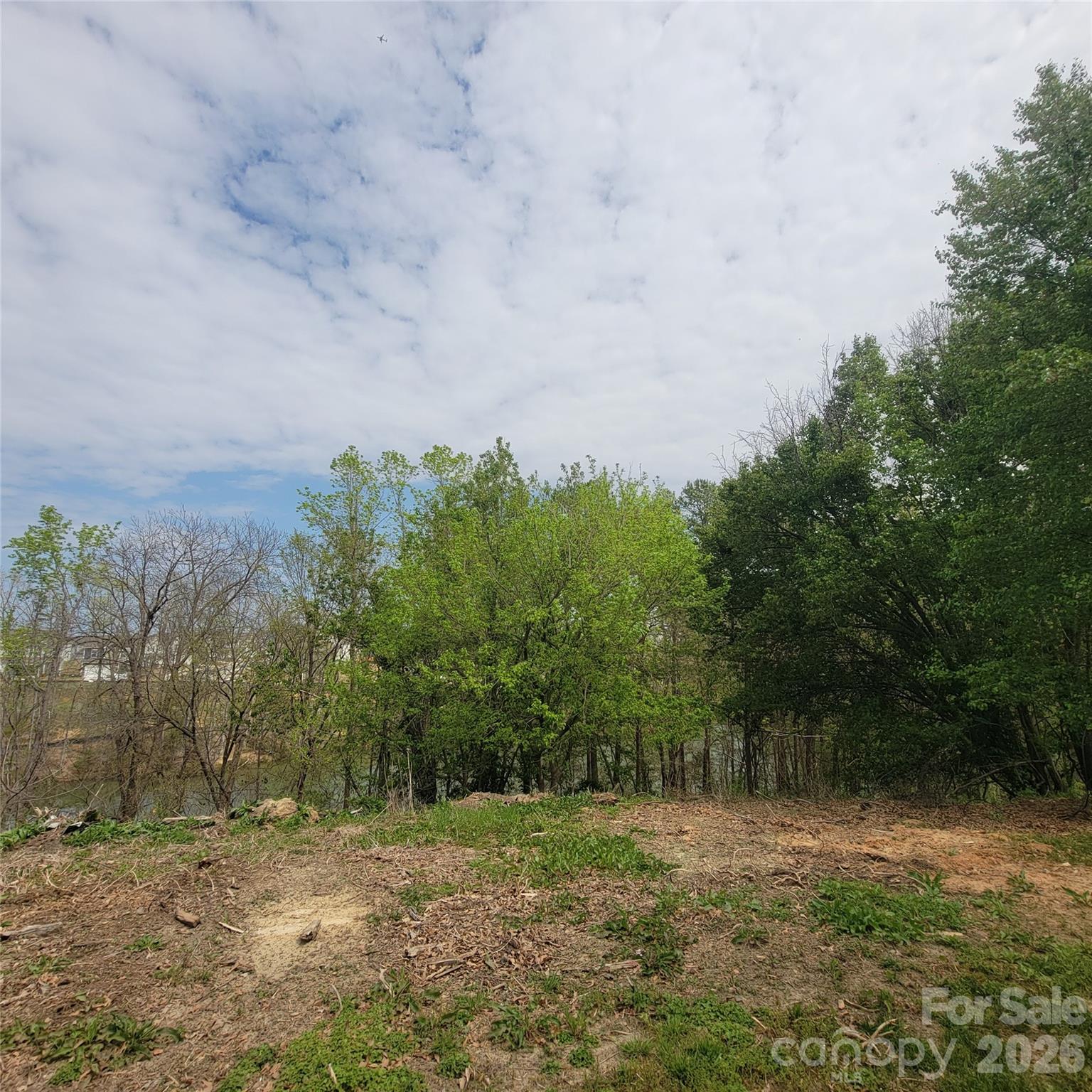 The right side of parcel # 2, going to the R towards parcel # 1 - 230 Walnut Street, Belmont