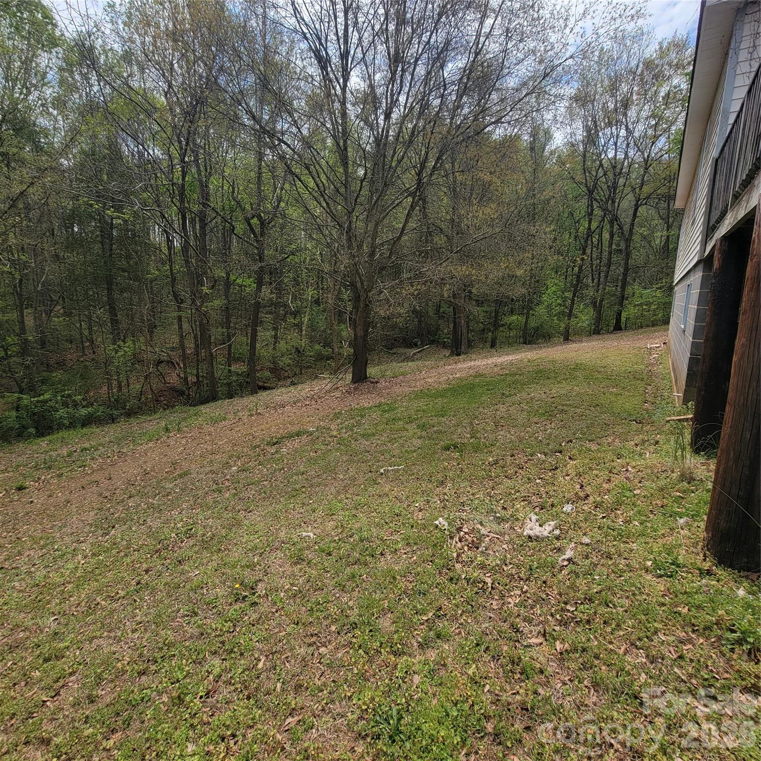 Behind the homesite with the house on it (230 Walnut Street, parcel #1) - 230 Walnut Street, Belmont