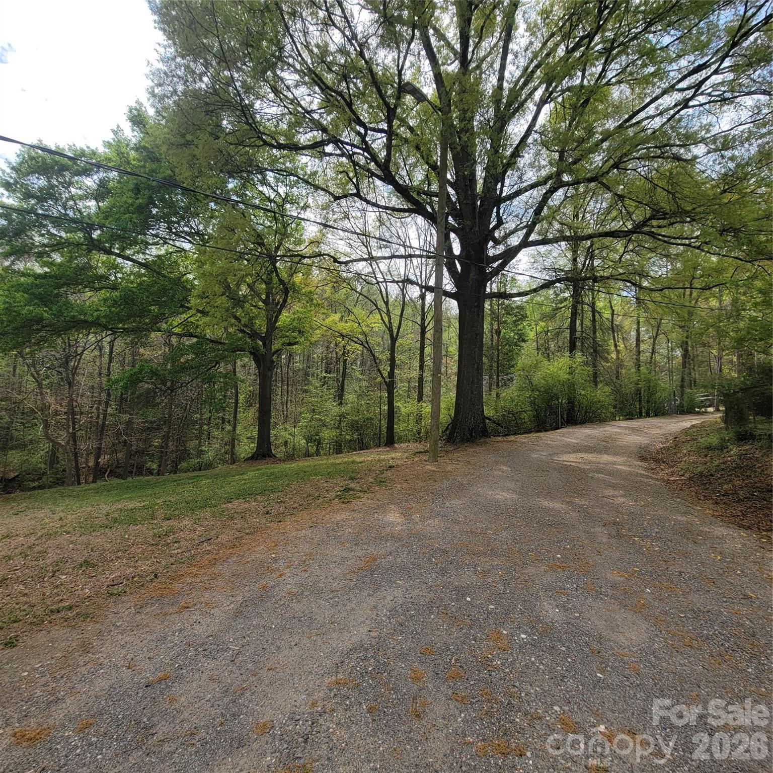 The road leading up to the Private Homesites - 230 Walnut Street, Belmont
