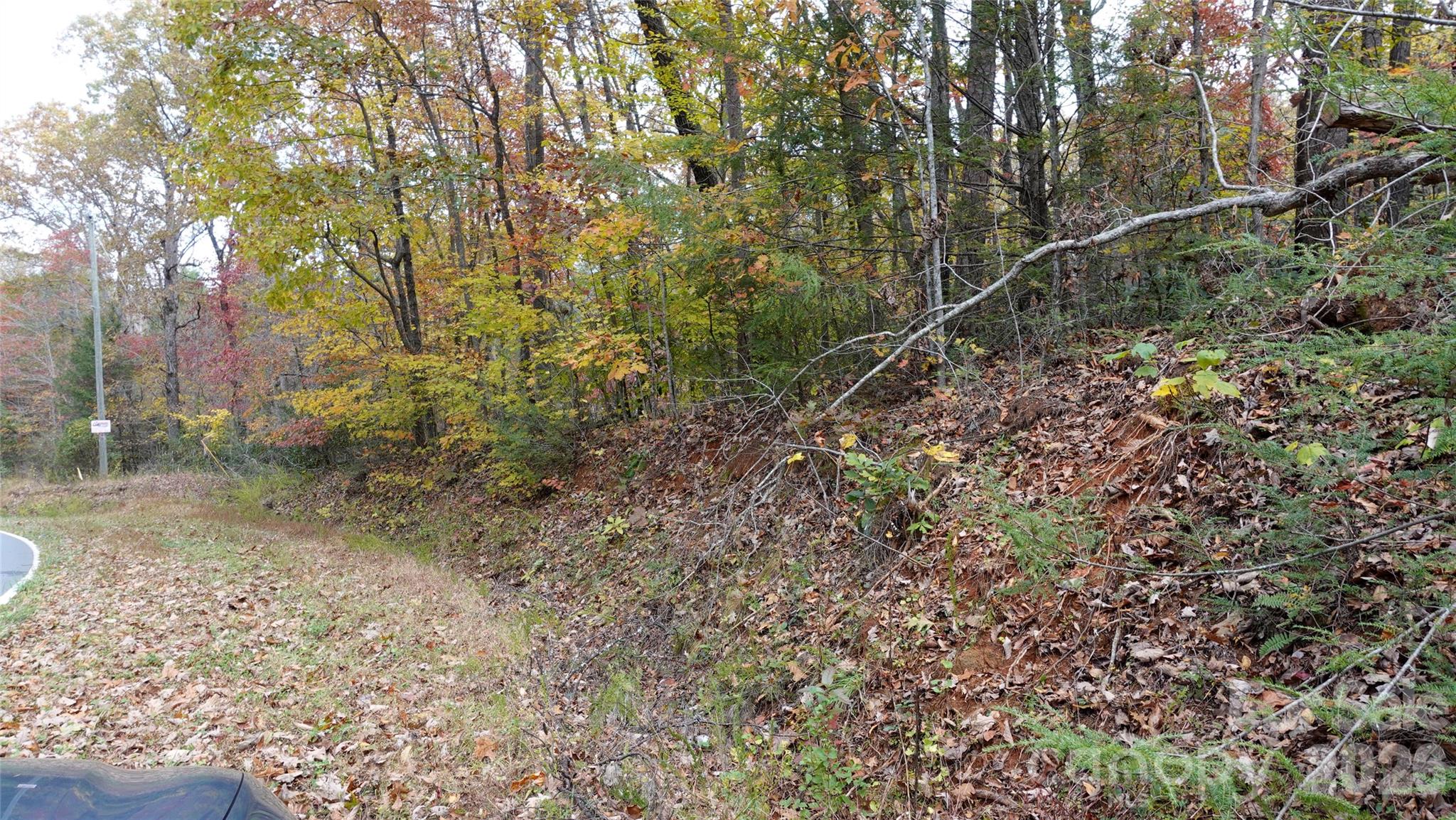 Acreage at 00 Lytle Mountain Road, Marion, photo 34 of 43