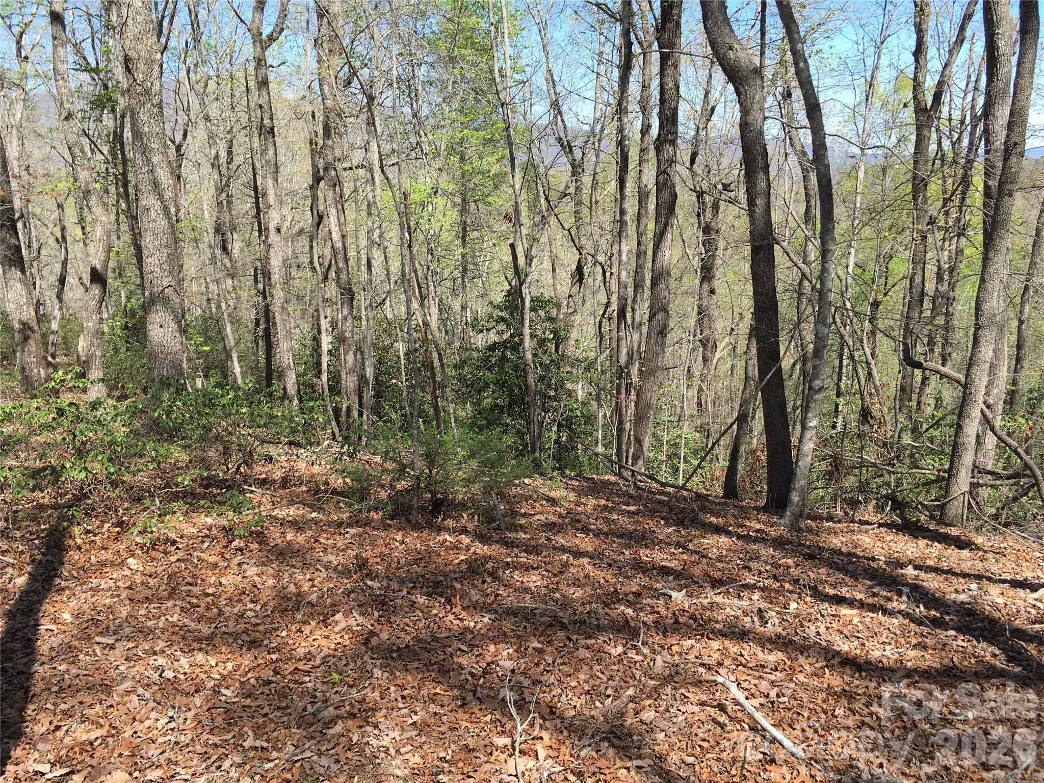 Acreage at 00 Lytle Mountain Road, Marion, photo 16 of 43