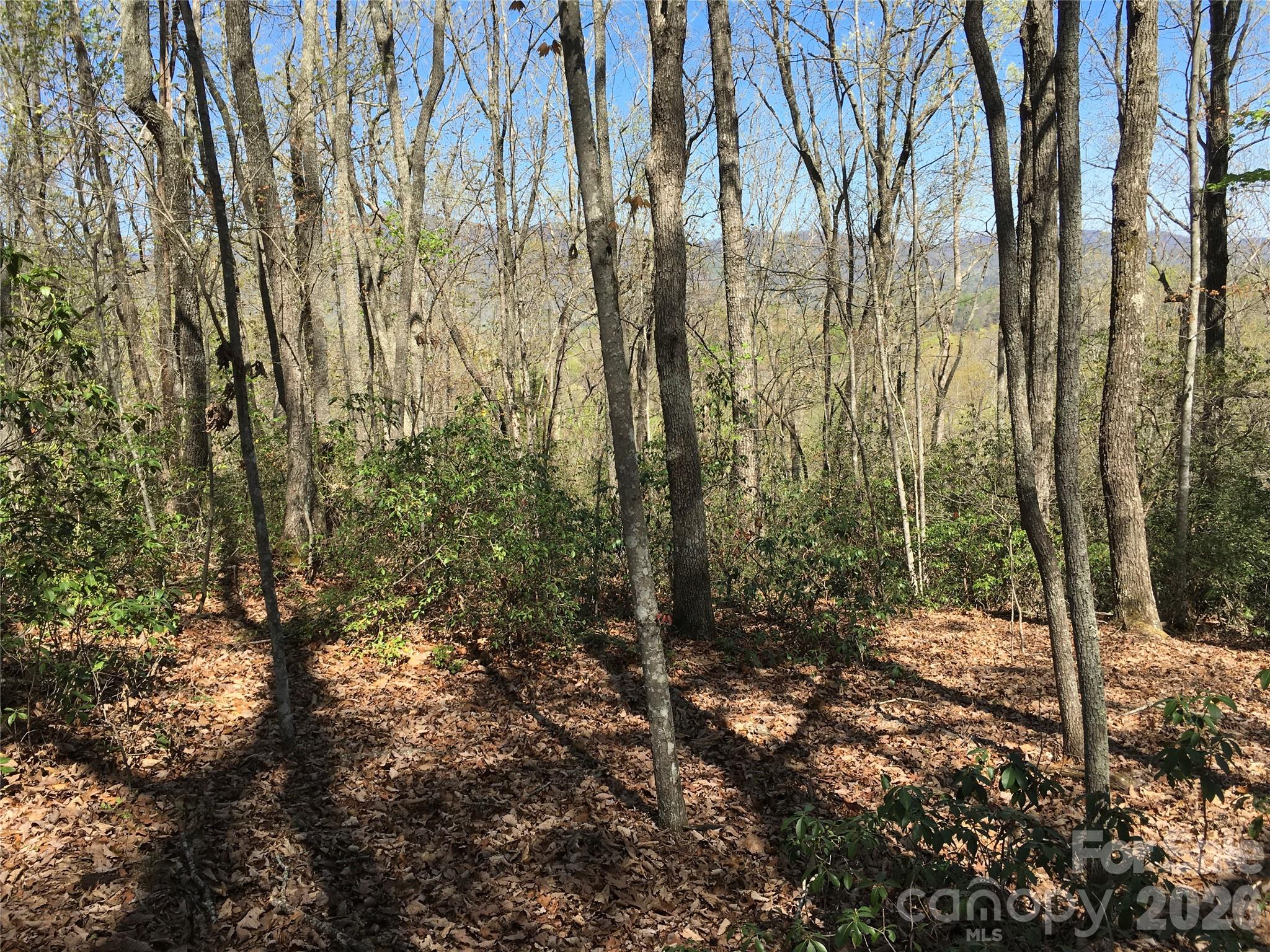Acreage at 00 Lytle Mountain Road, Marion, photo 25 of 43