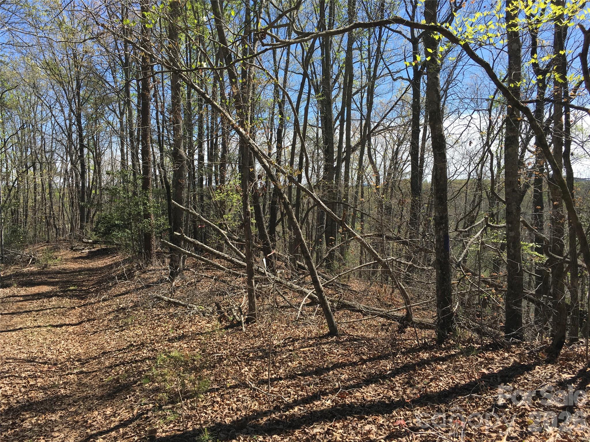 Acreage at 00 Lytle Mountain Road, Marion, photo 32 of 43