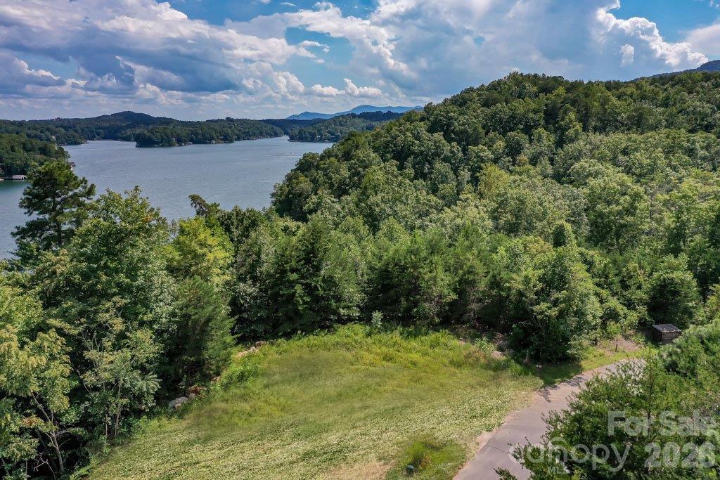 Lot at 000 Holmstead Drive, Lake Lure, photo 2 of 27