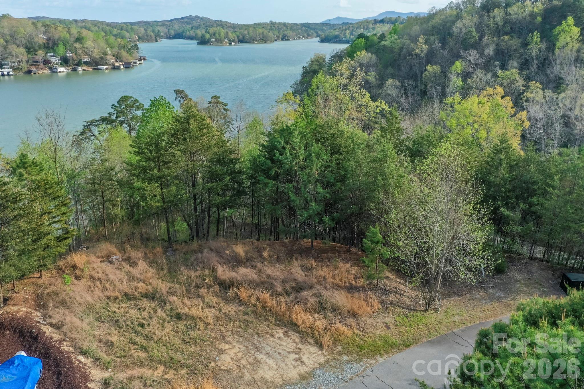 Lot at 000 Holmstead Drive, Lake Lure, photo 4 of 27