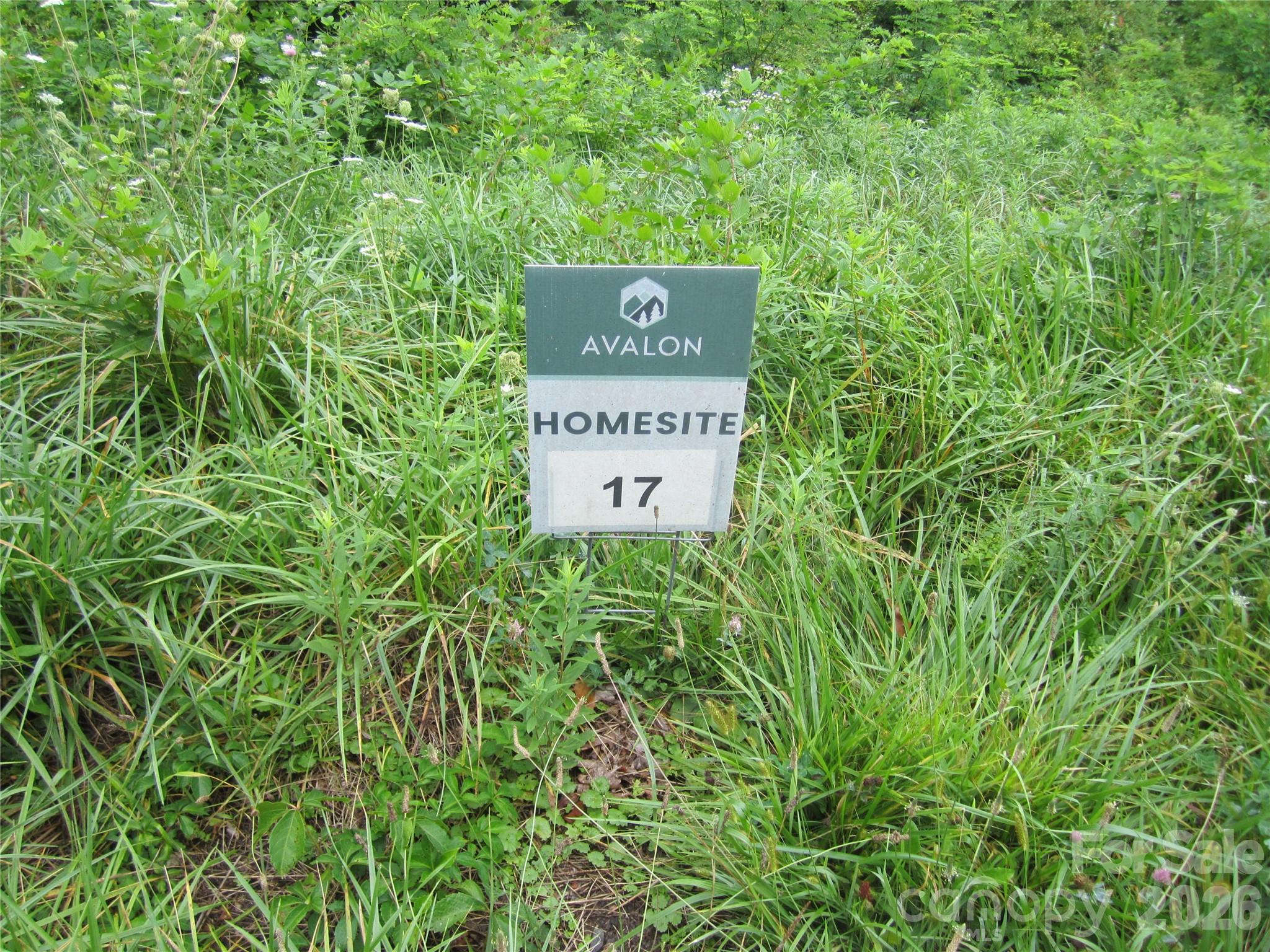 Lot at 000 Signature Row Boulevard, Waynesville, photo 4 of 6