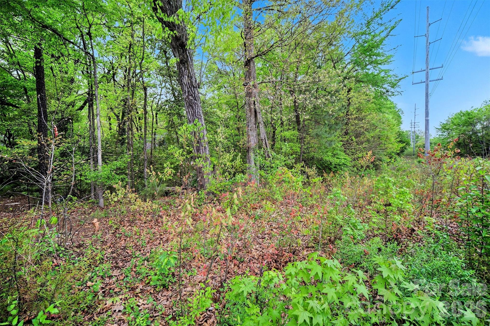 Unimproved Commercial at 0 Leewood Drive, Monroe, photo 23 of 26