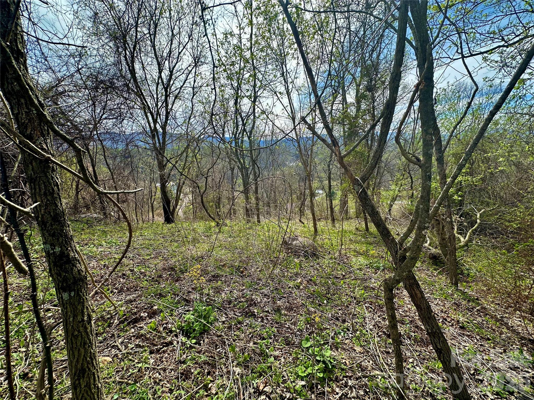 Lot at 000 Sunset Mountain Road, Bakersville, photo 6 of 18