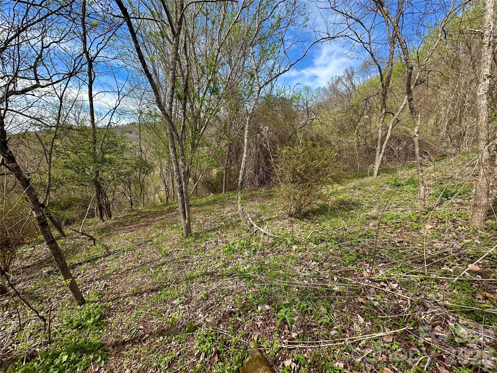 Lot at 000 Sunset Mountain Road, Bakersville, photo 7 of 18