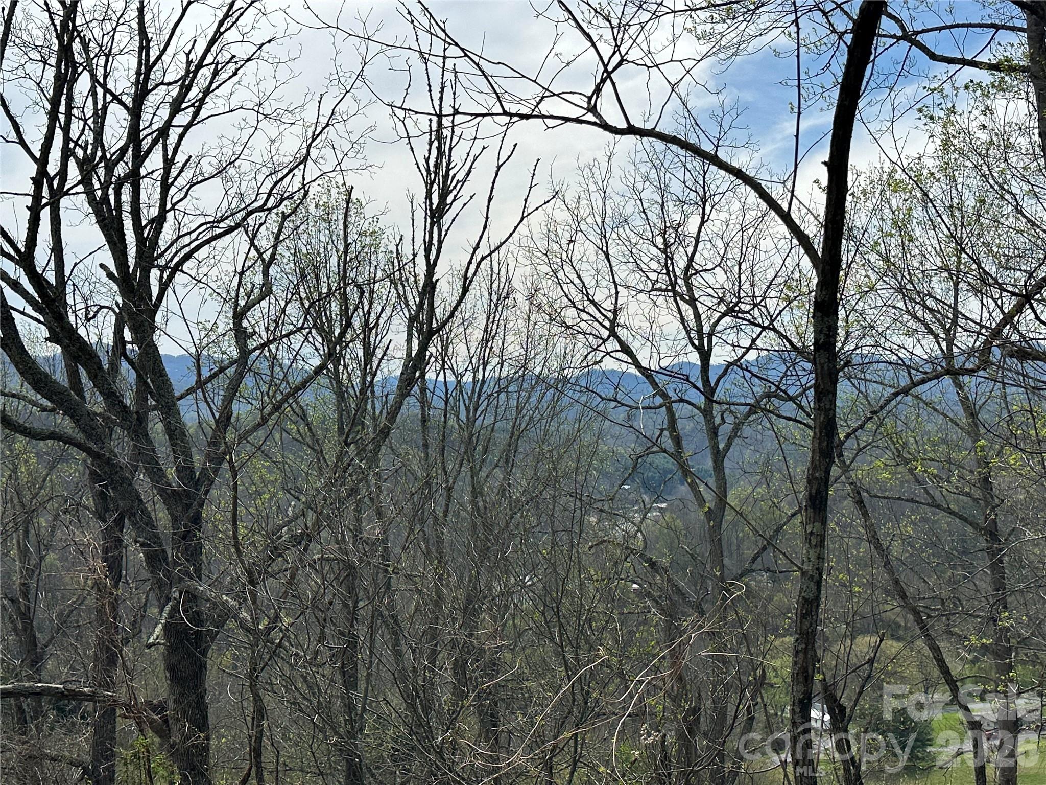 Lot at 000 Sunset Mountain Road, Bakersville, photo 9 of 18