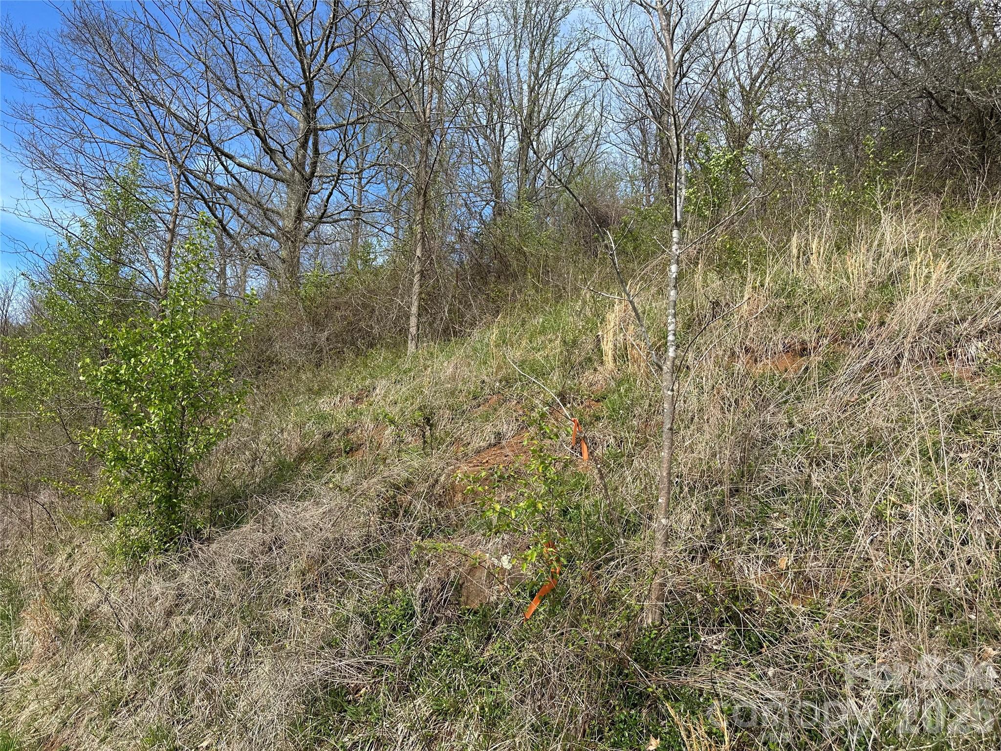 Lot at 000 Sunset Mountain Road, Bakersville, photo 12 of 18
