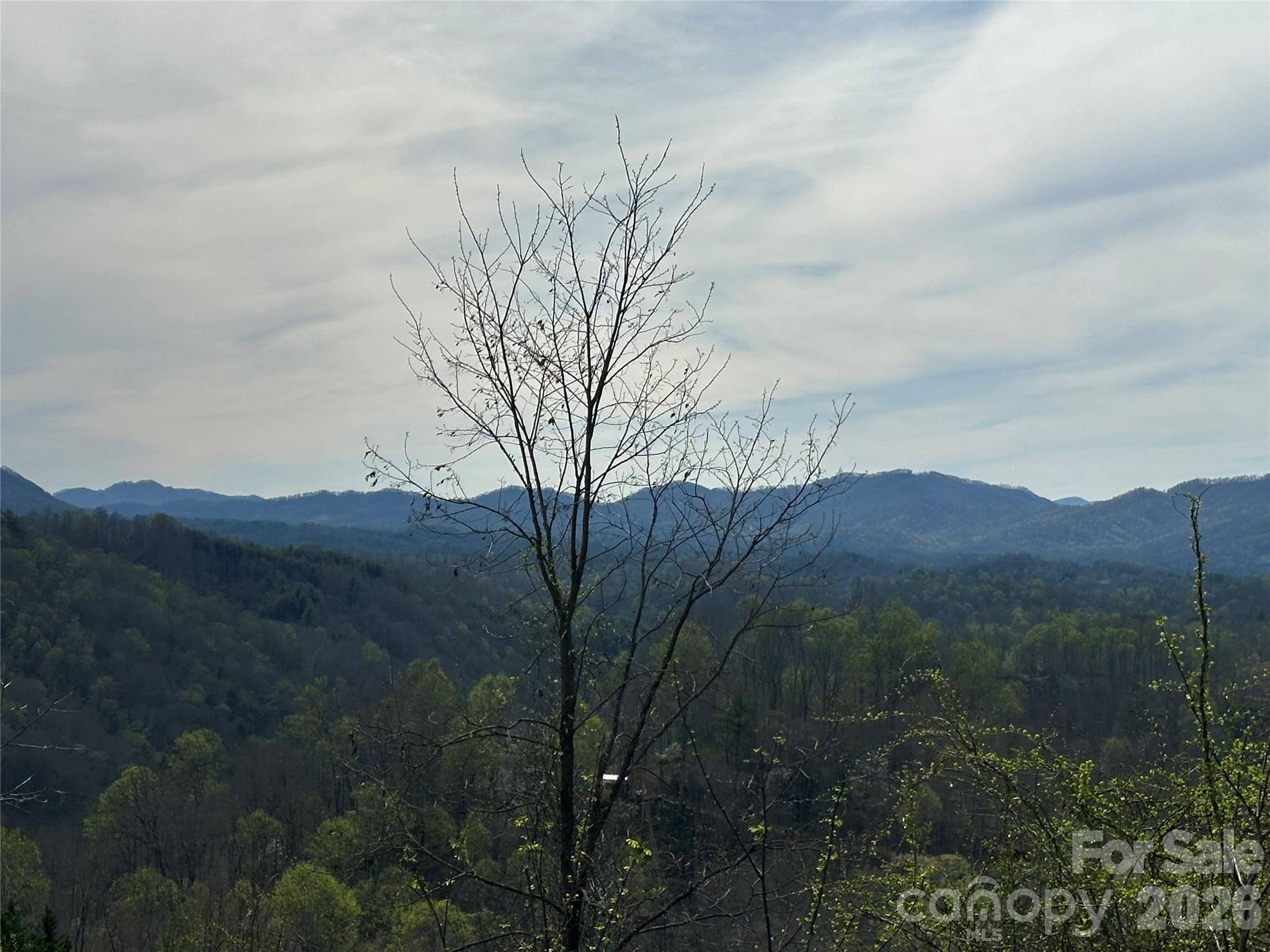 Lot at 000 Sunset Mountain Road, Bakersville, photo 15 of 18