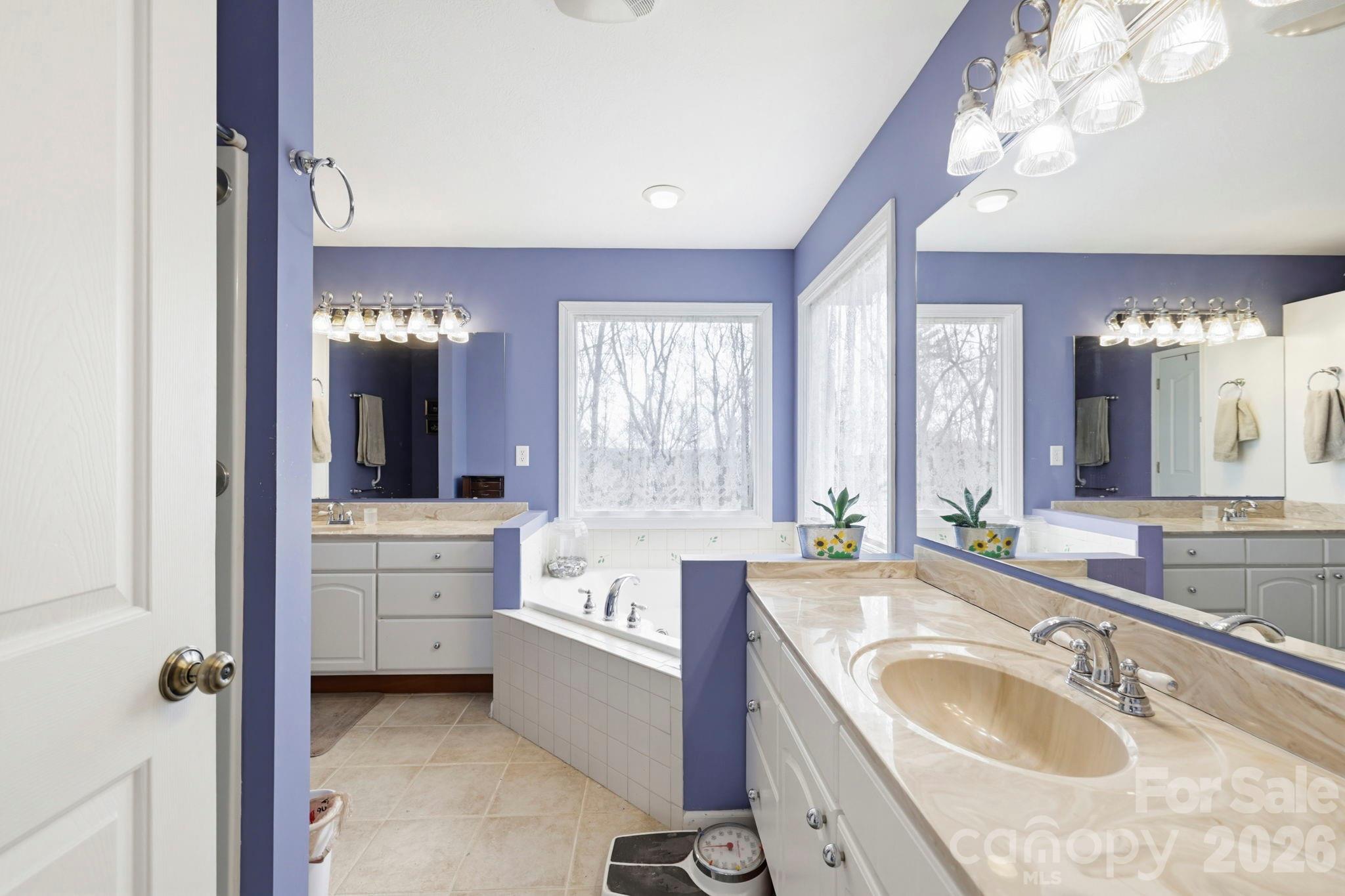 Primary Bathroom - 13705 Rosman Highway, Lake Toxaway