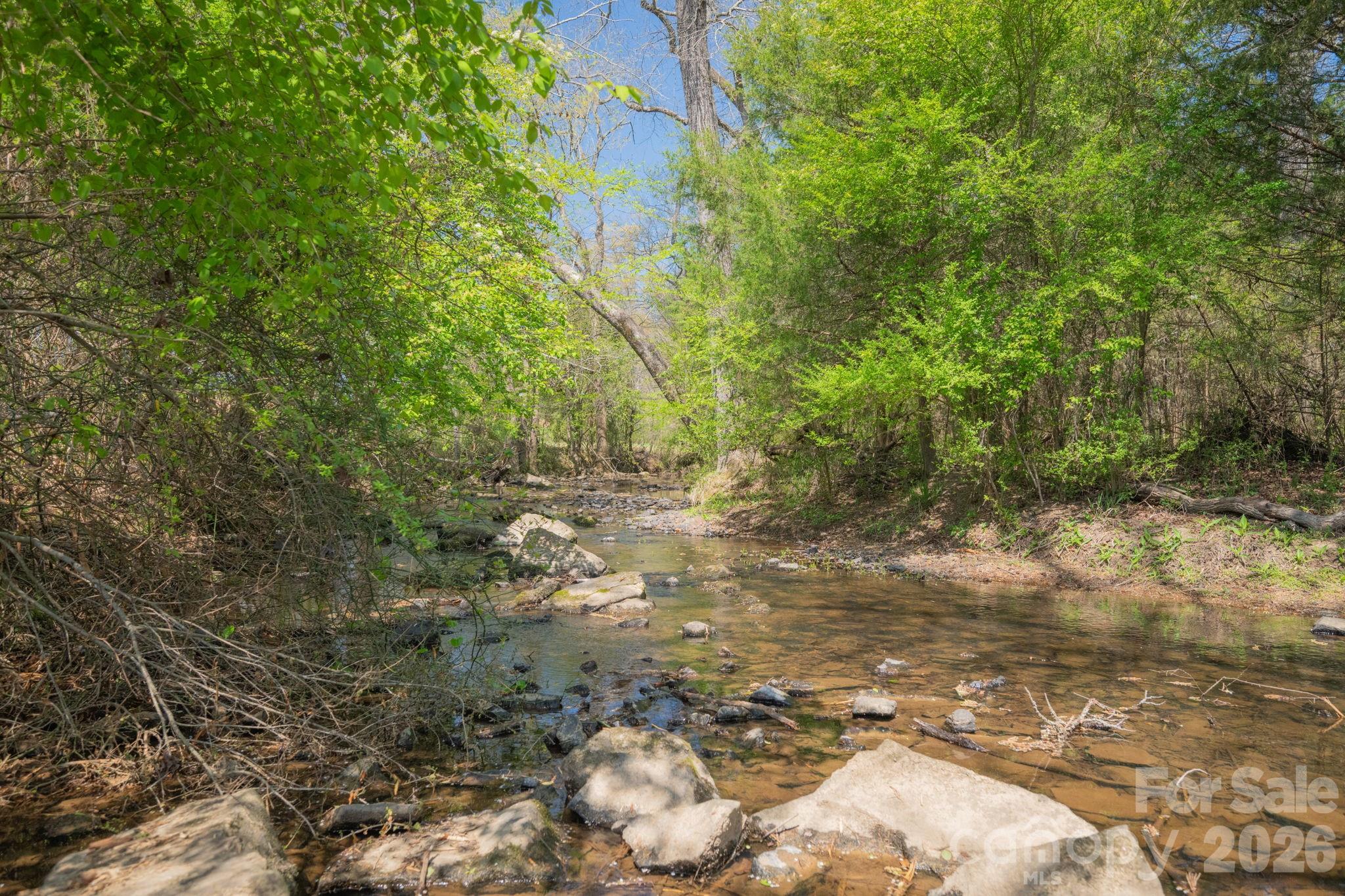 Creek for playing, swimming, and enjoying the outdoors - 32286 Laton Road, Albemarle
