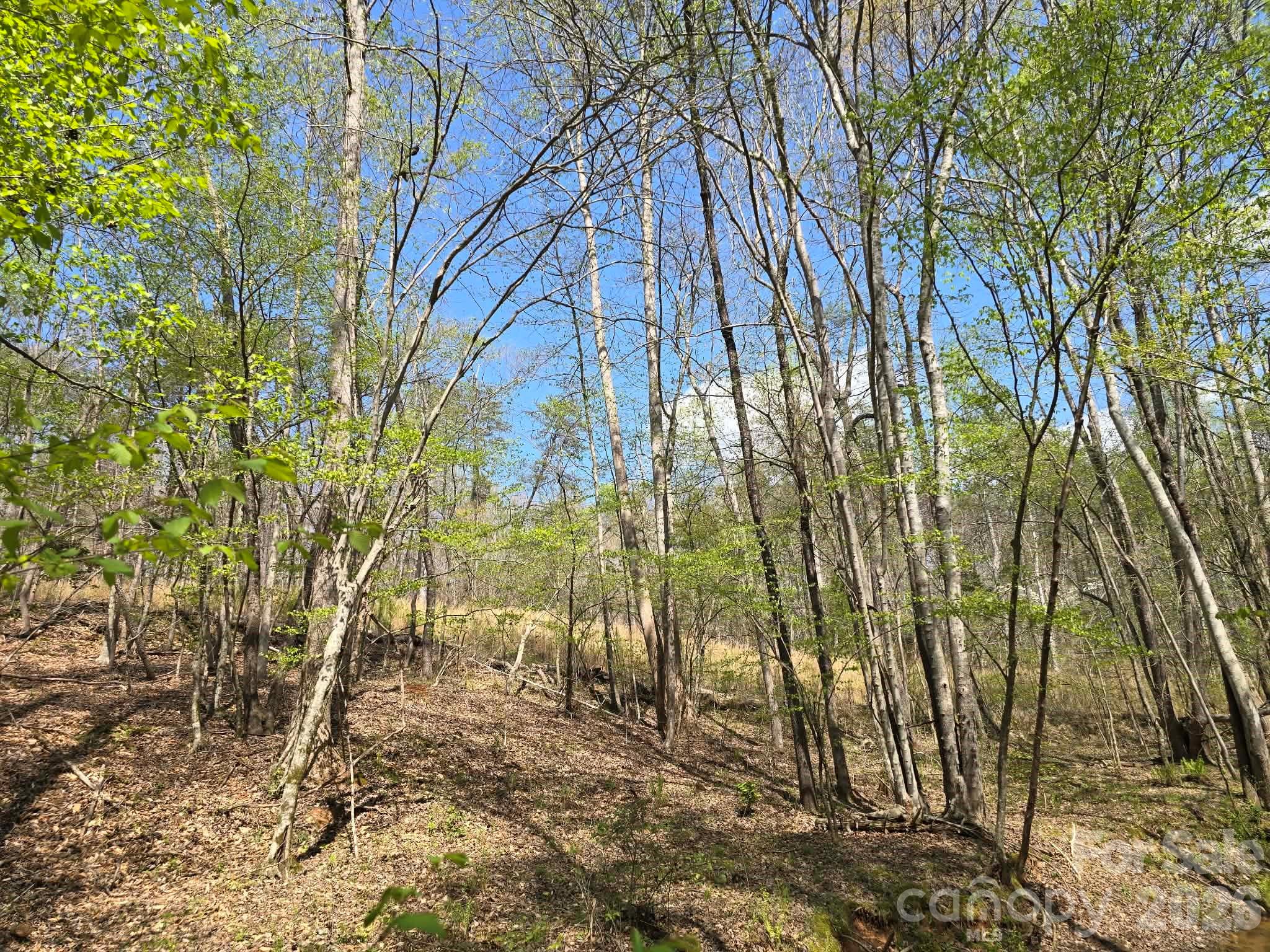 Lot at Lot 26 Grandview Drive, Rutherfordton, photo 4 of 14