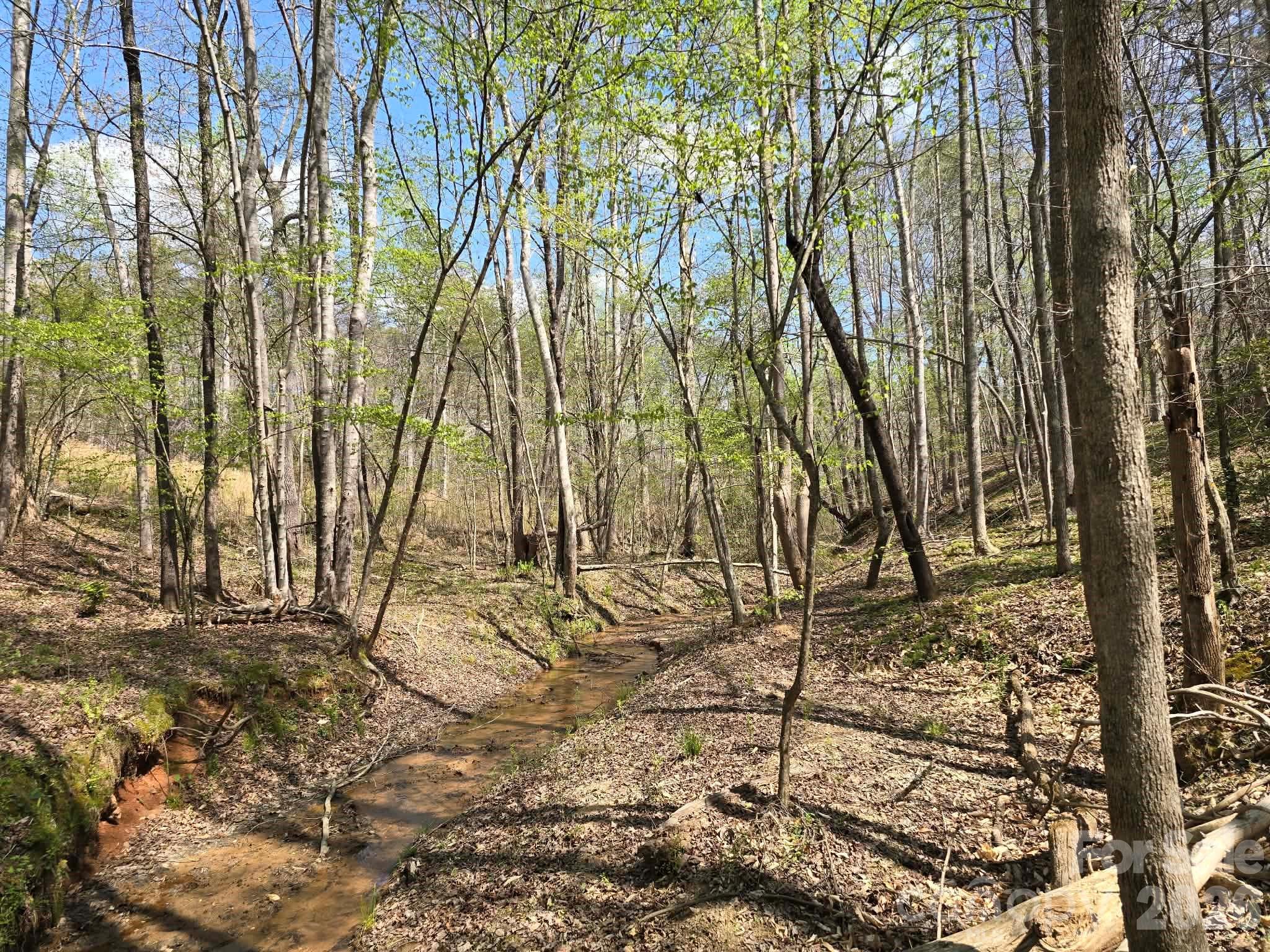 Lot at Lot 26 Grandview Drive, Rutherfordton, photo 6 of 14