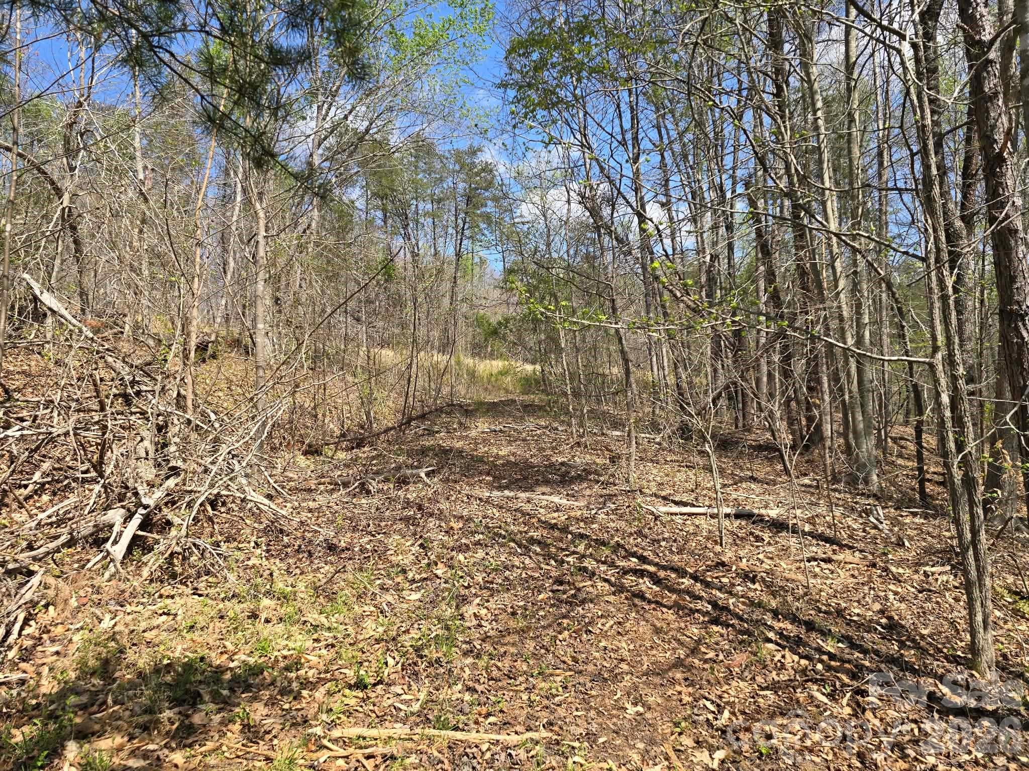 Lot at Lot 26 Grandview Drive, Rutherfordton, photo 11 of 14