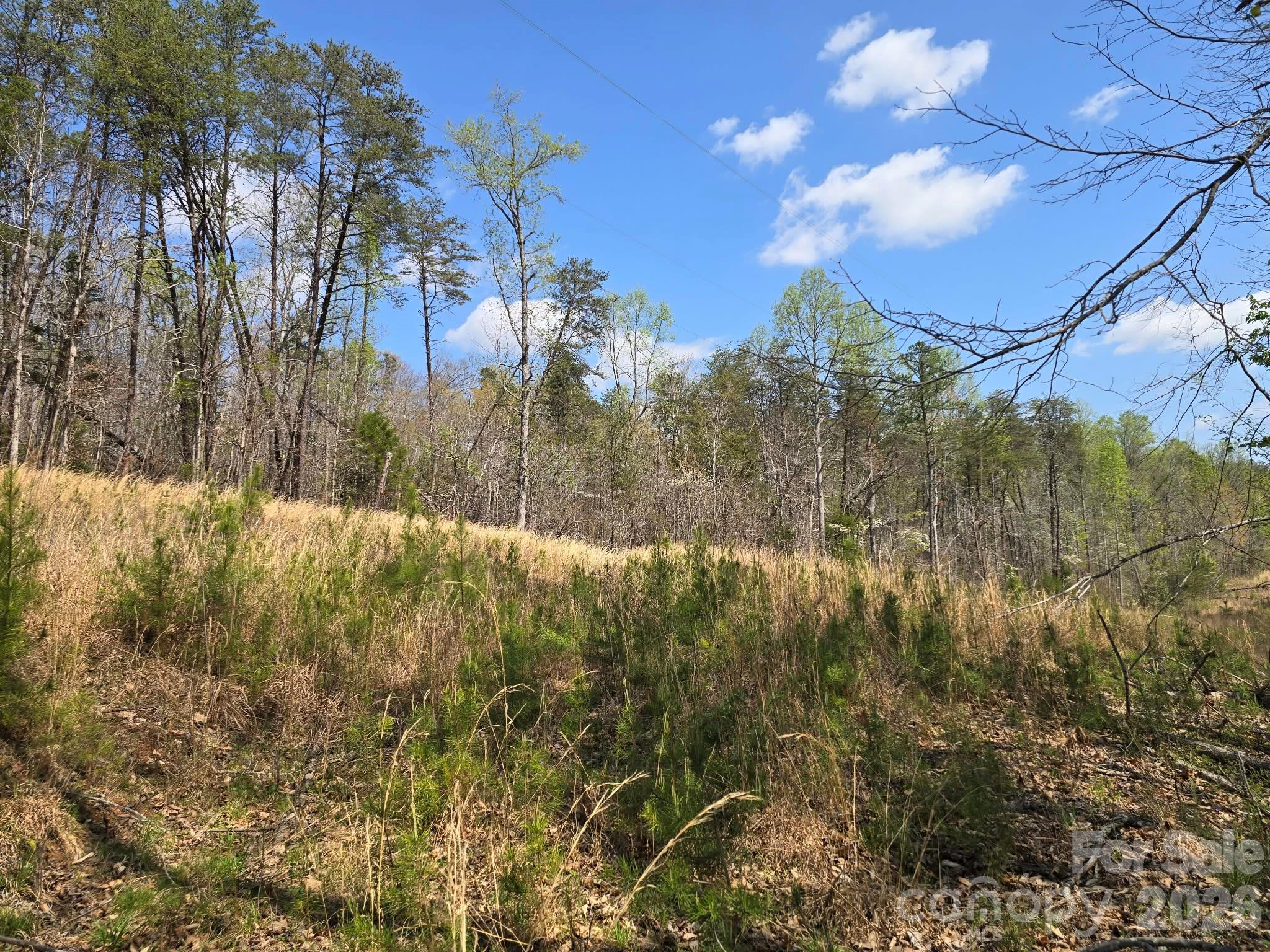 Lot at Lot 26 Grandview Drive, Rutherfordton, photo 12 of 14