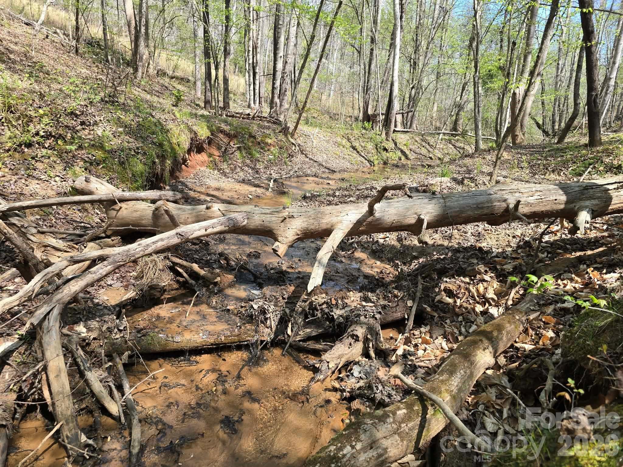Lot at Lot 26 Grandview Drive, Rutherfordton, photo 13 of 14