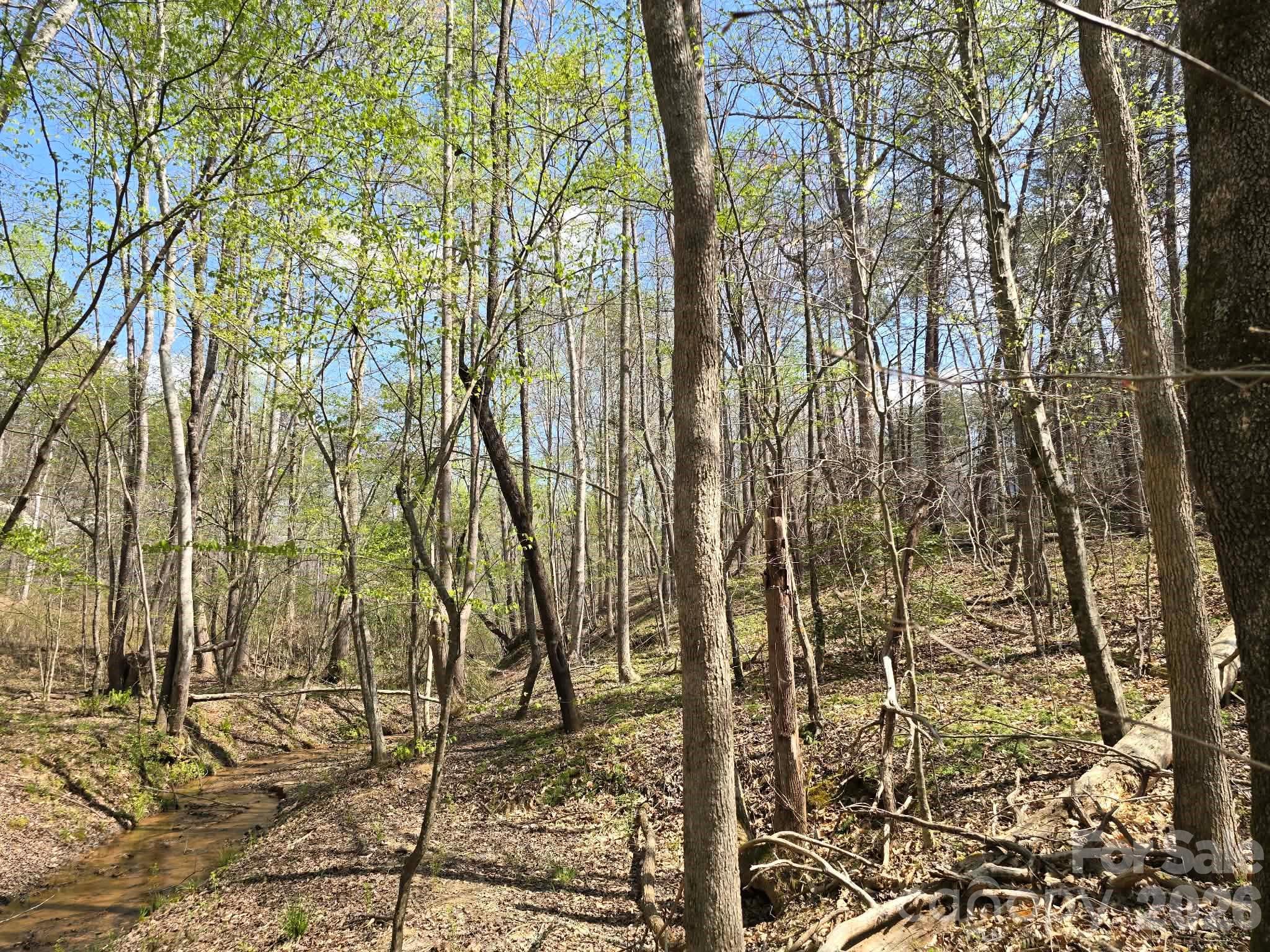 Lot at Lot 26 Grandview Drive, Rutherfordton, photo 14 of 14