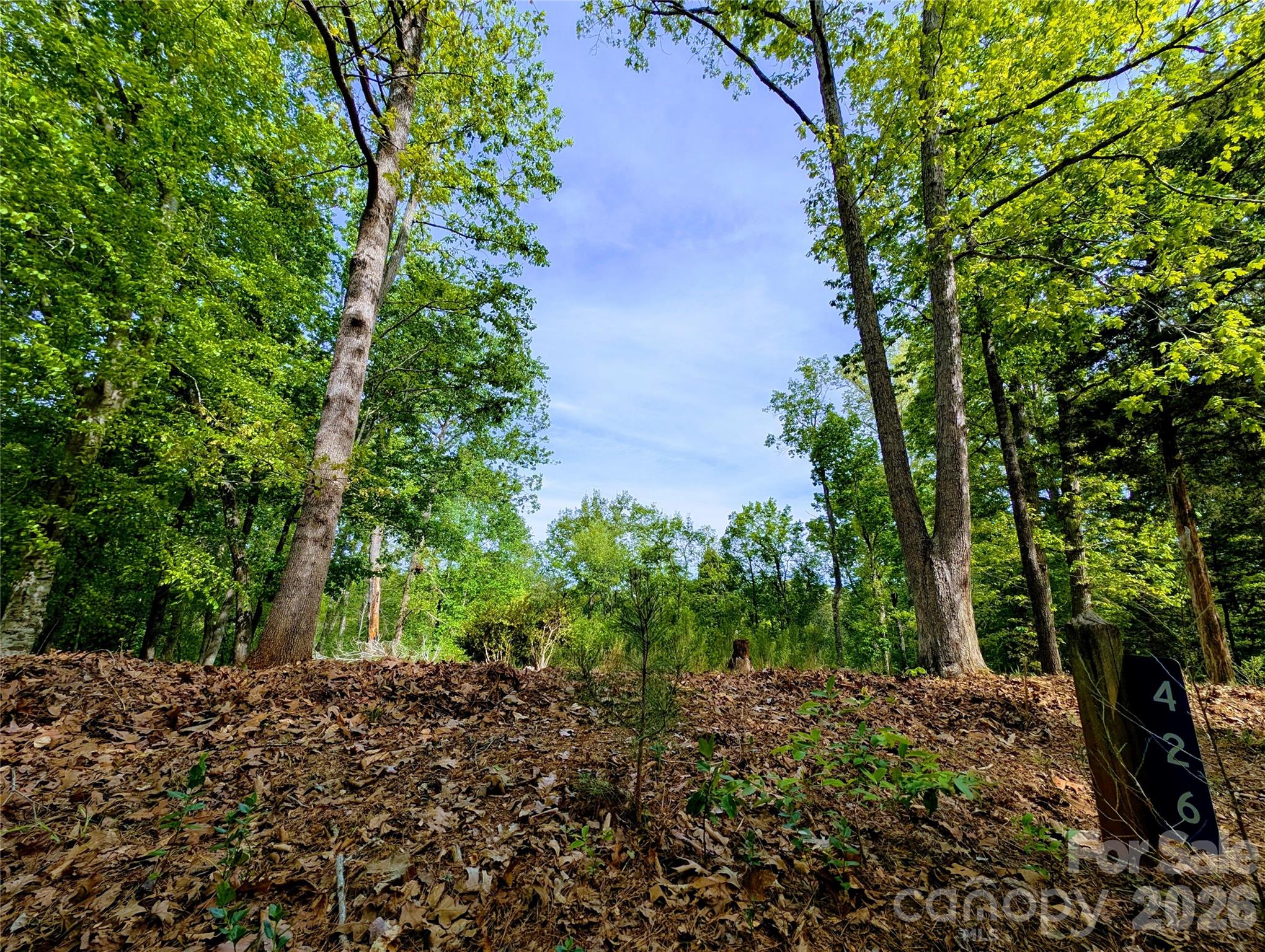 Lot at 426 Mountain Ridge Court, Fort Mill, photo 3 of 5