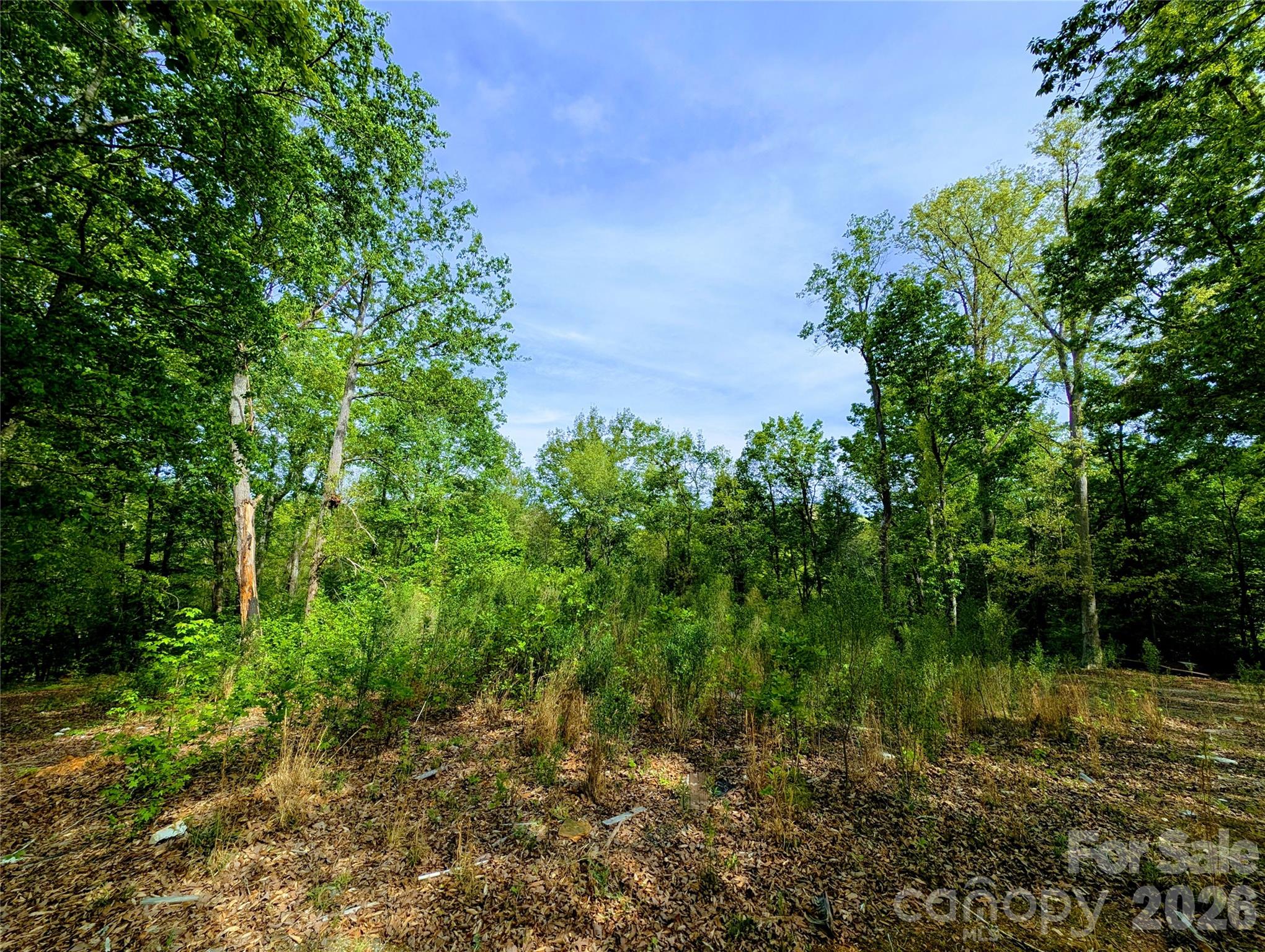Lot at 426 Mountain Ridge Court, Fort Mill, photo 4 of 5