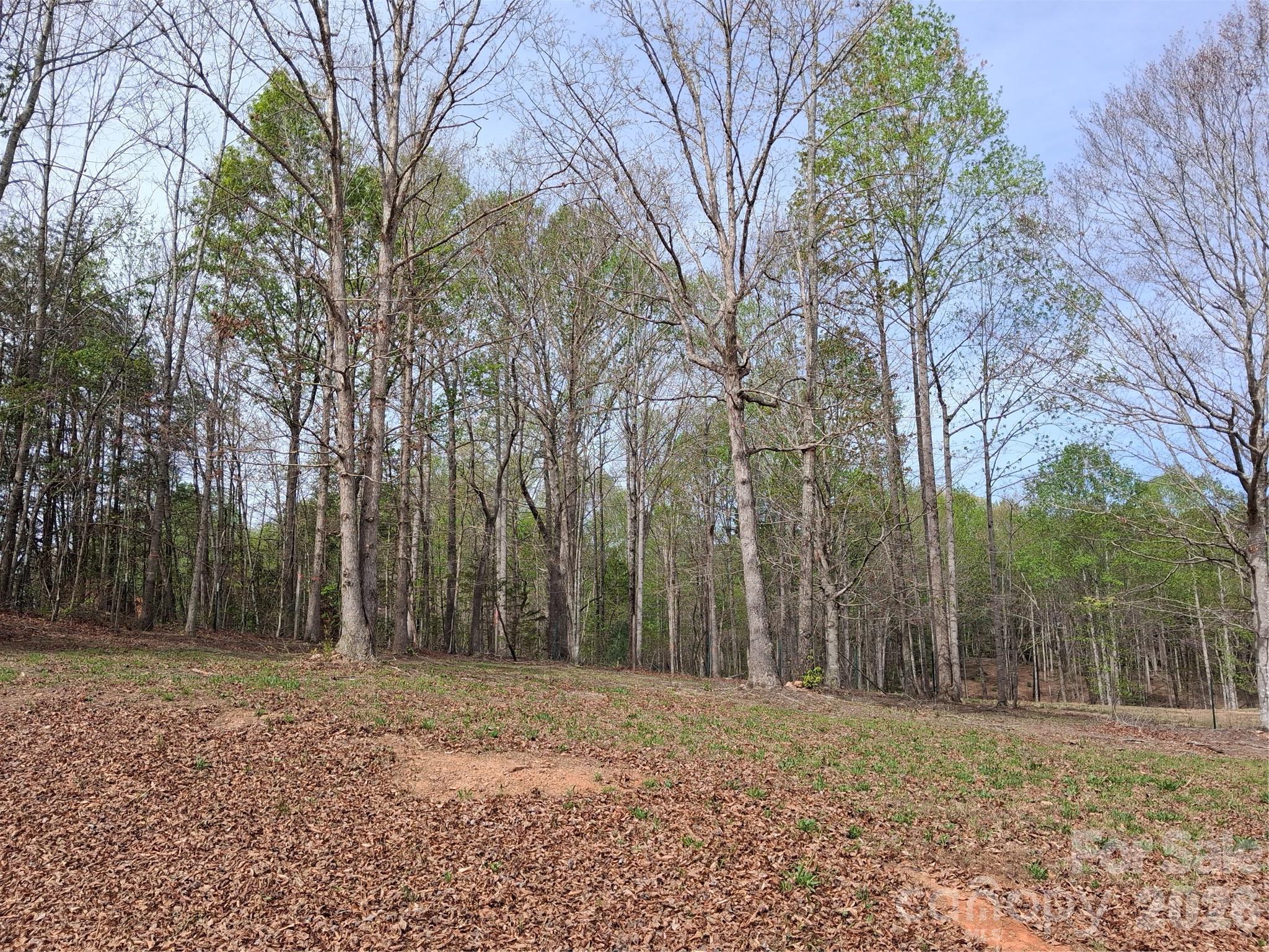 Acreage at 57 Hazel Drive, Nebo, photo 3 of 18