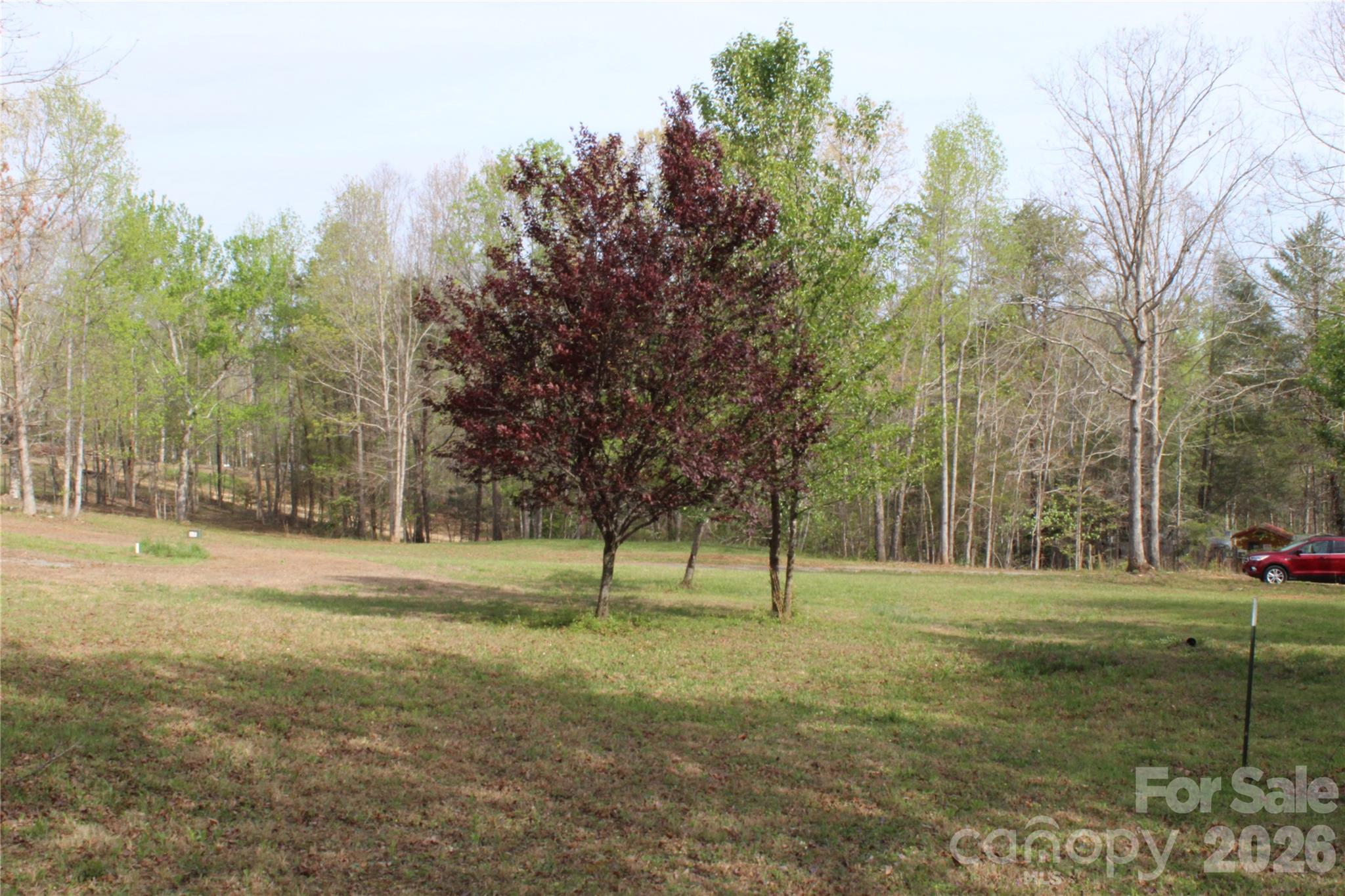 Acreage at 57 Hazel Drive, Nebo, photo 10 of 18