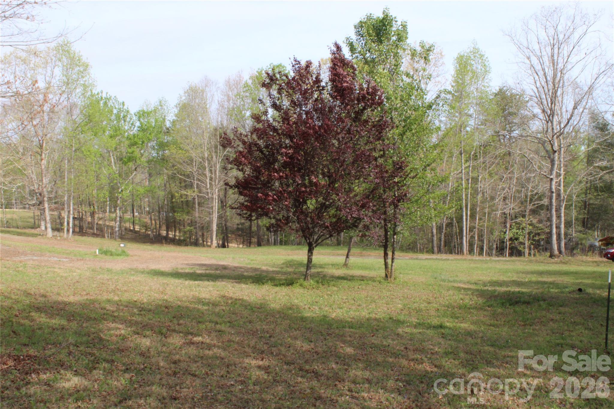 Acreage at 57 Hazel Drive, Nebo, photo 16 of 18