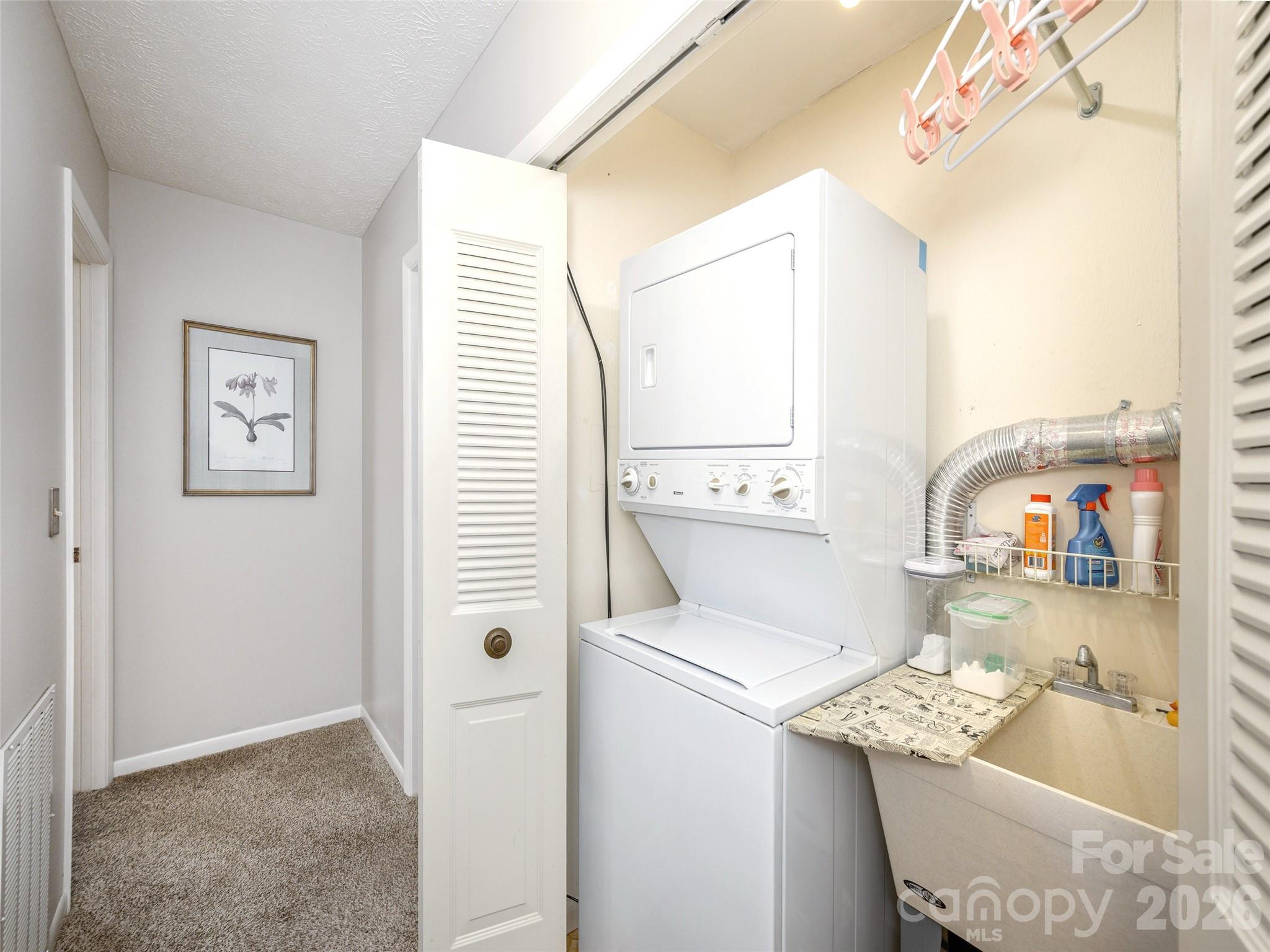 Laundry - 103 Oakwood Place, Hendersonville