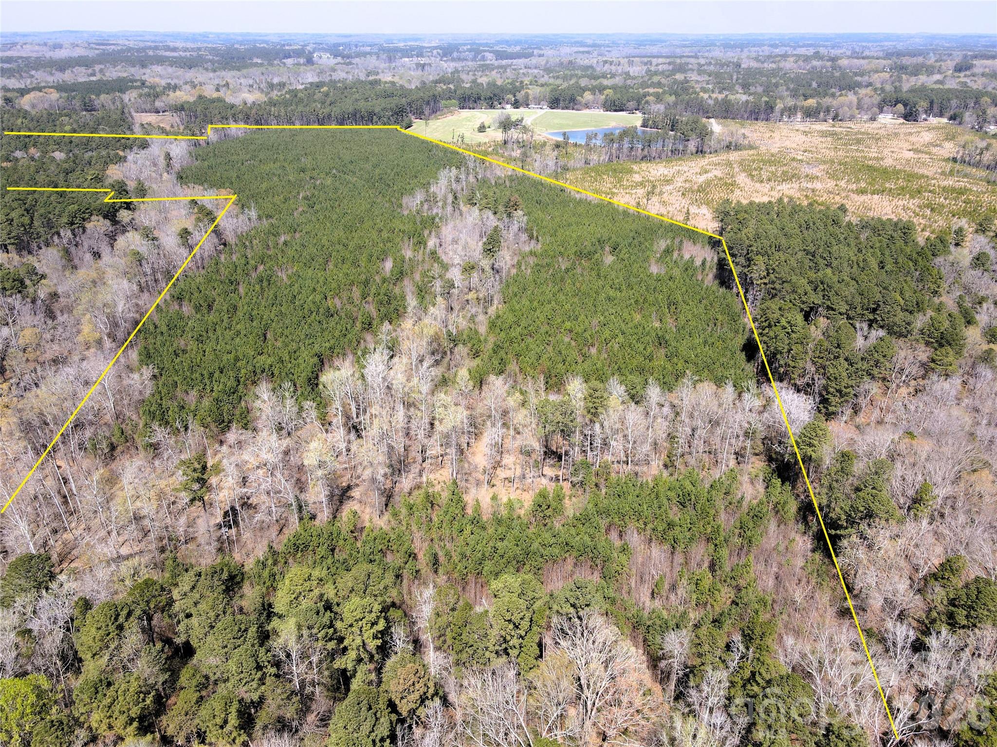 Looking North from the South property line - 01 Collins Mountain Road, Chapel Hill