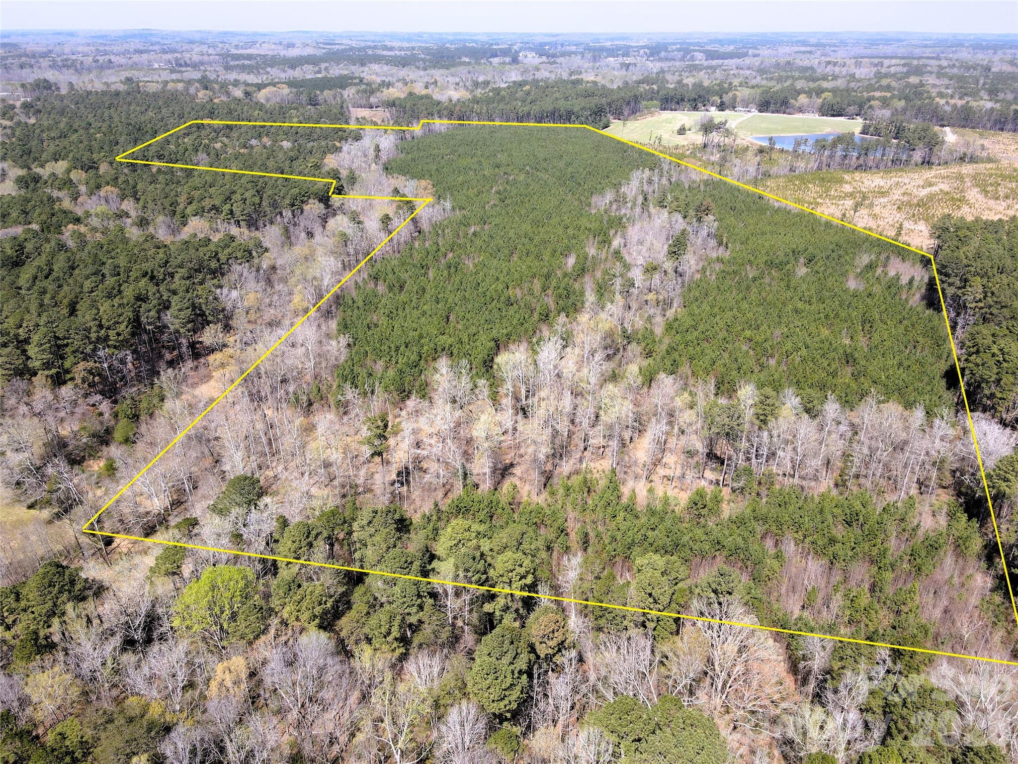 Looking North from the South property line - 01 Collins Mountain Road, Chapel Hill