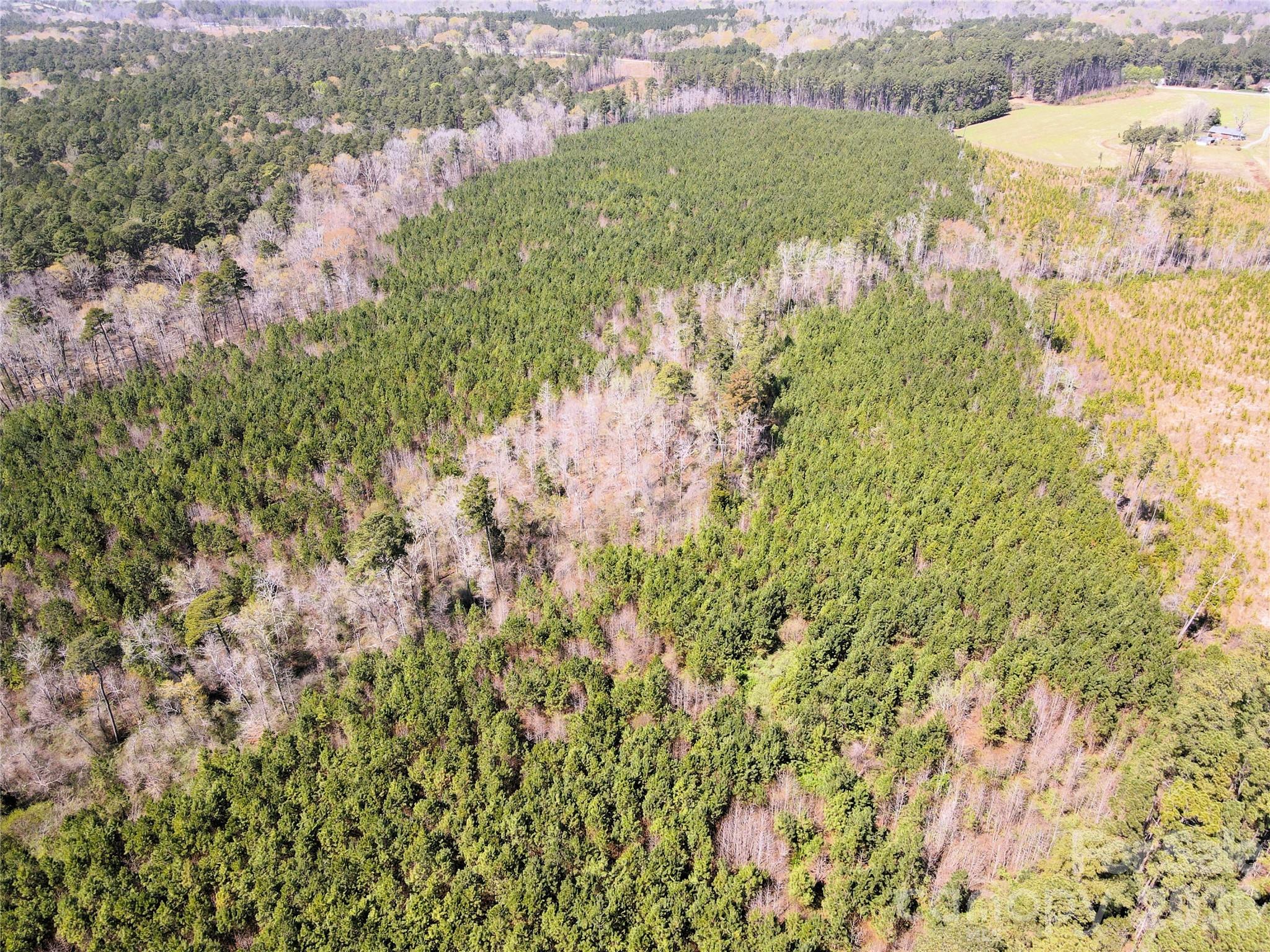 Looking NW from the SW - 01 Collins Mountain Road, Chapel Hill