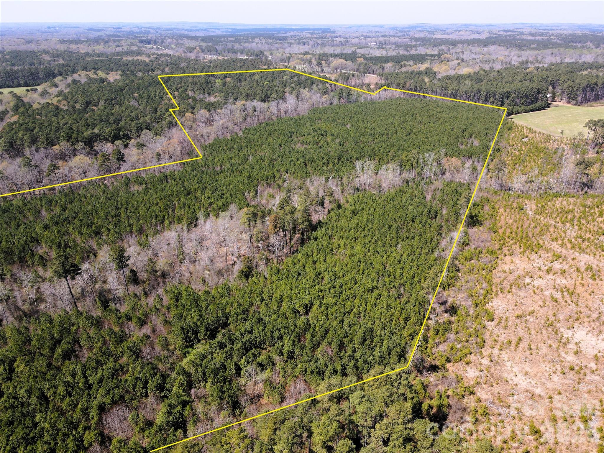 Looking NW from the SW - 01 Collins Mountain Road, Chapel Hill