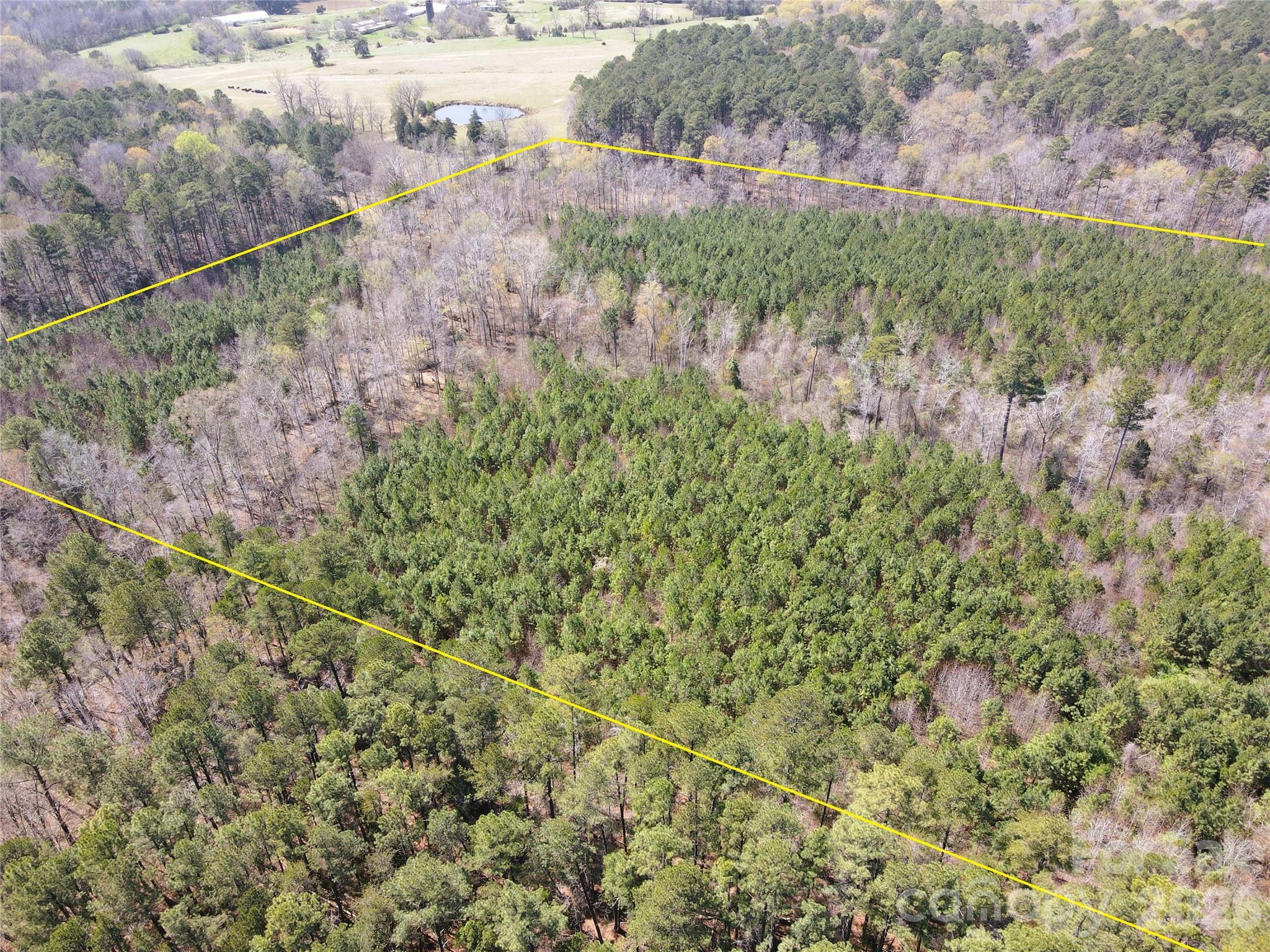 Acreage at 01 Collins Mountain Road, Chapel Hill, photo 7 of 24