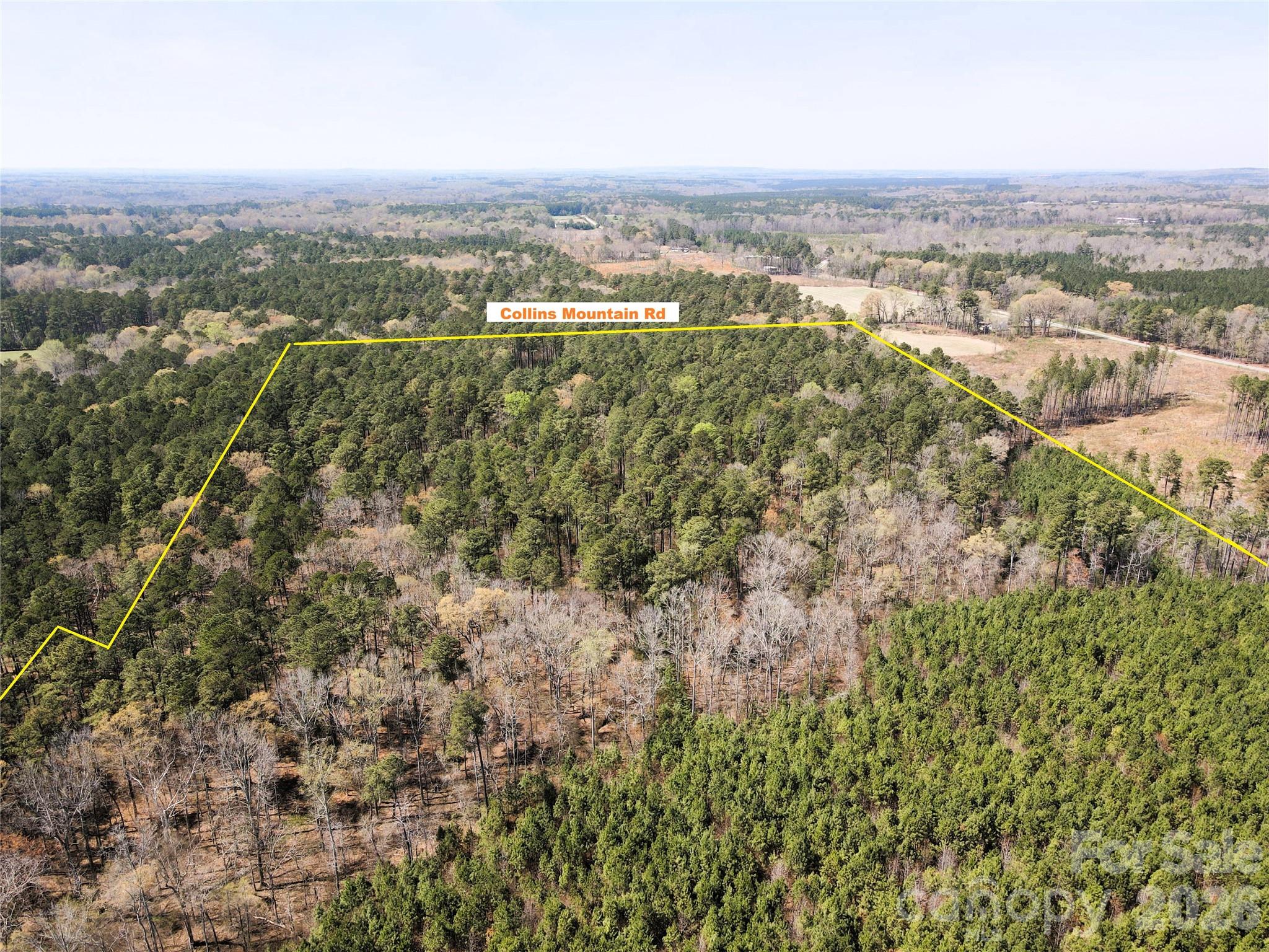 Look West towards Collins Mountain Rd - 01 Collins Mountain Road, Chapel Hill