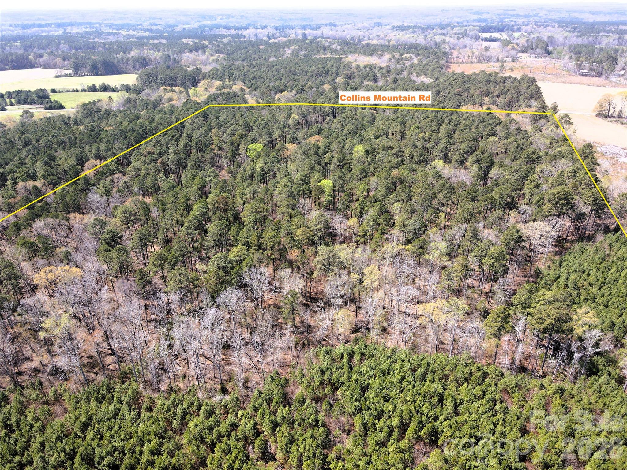Look West towards Collins Mountain Rd - 01 Collins Mountain Road, Chapel Hill