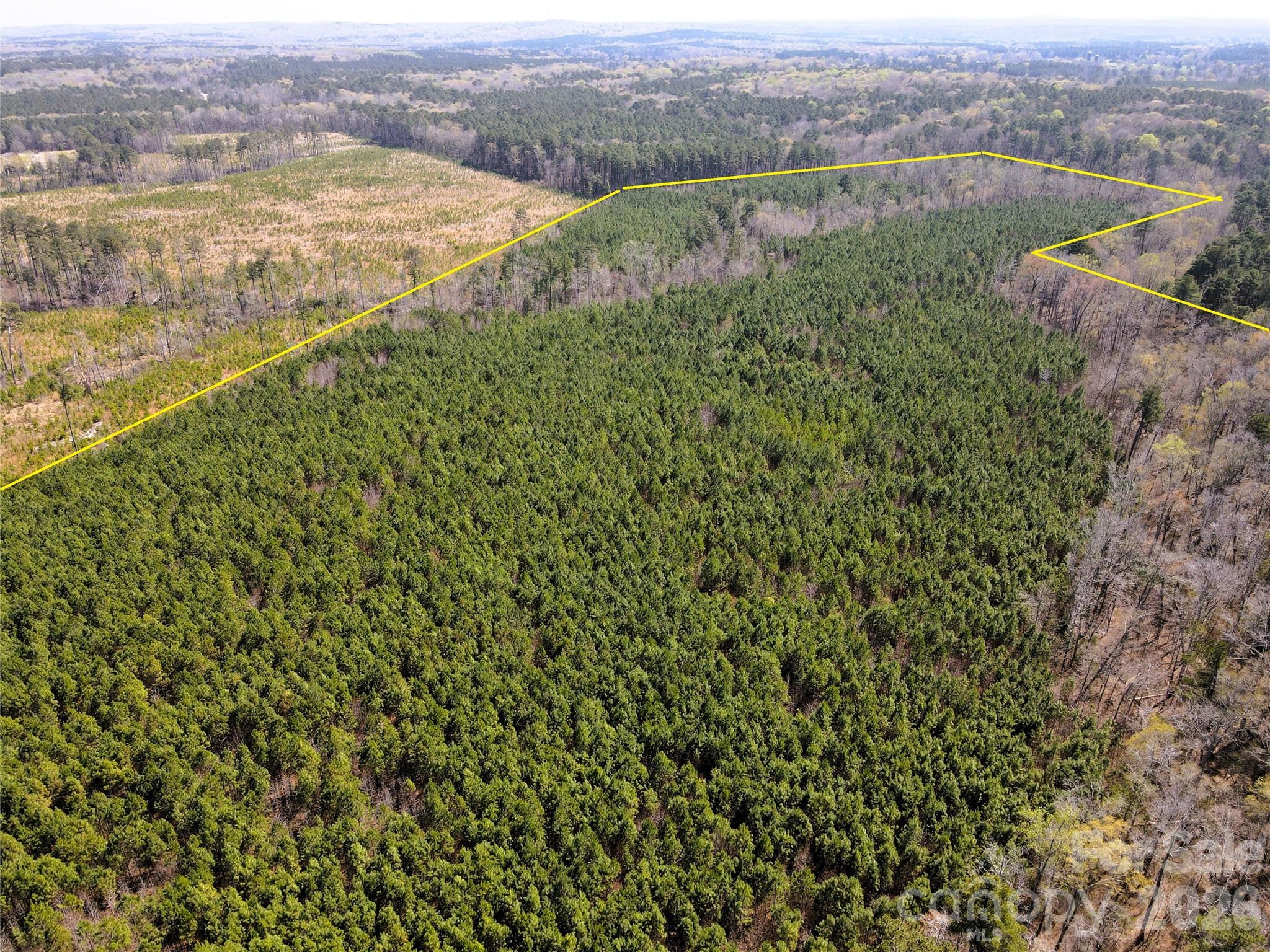 Looking SE from the NE - 01 Collins Mountain Road, Chapel Hill