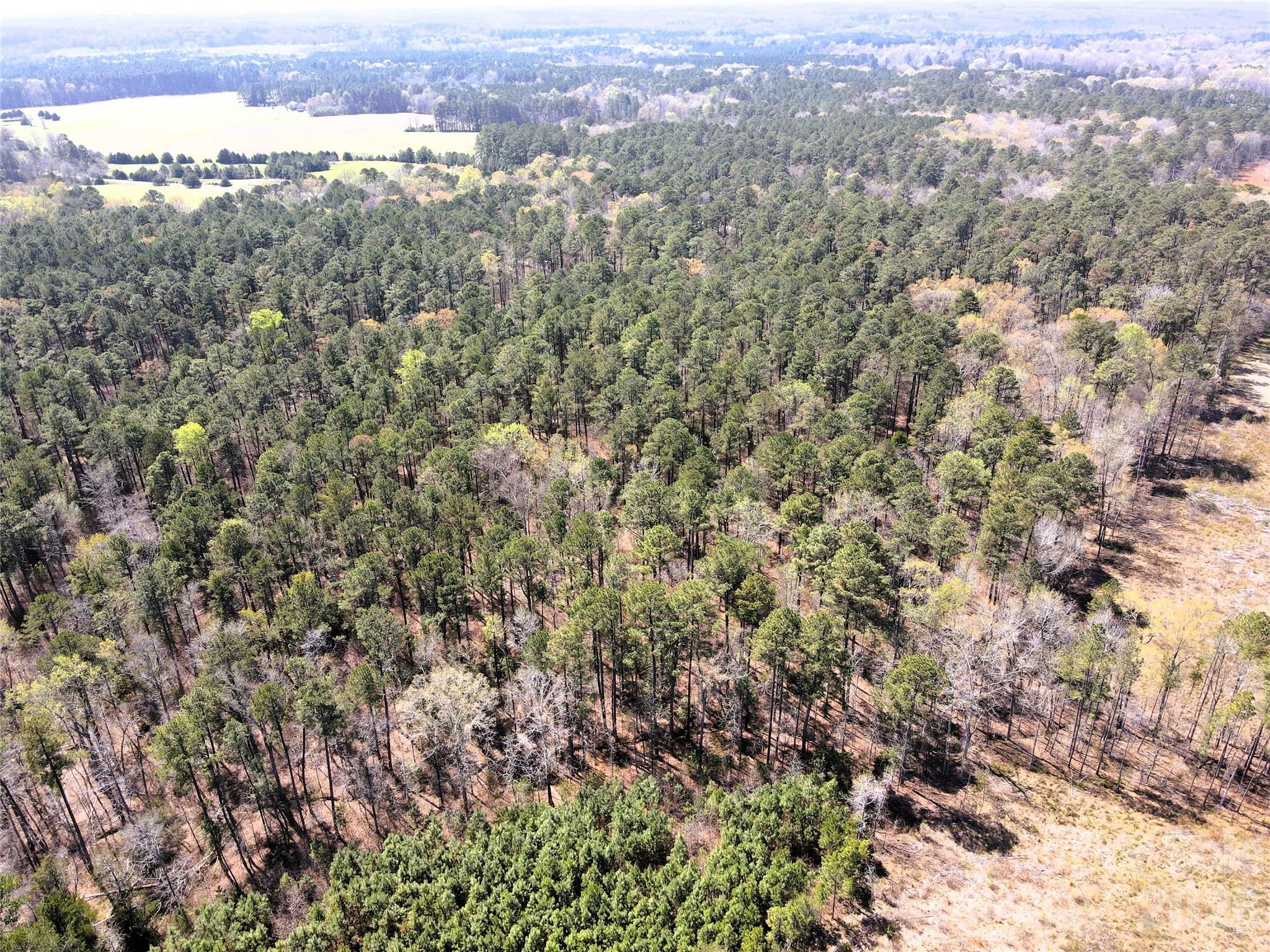 Looking SW from the NE - 01 Collins Mountain Road, Chapel Hill