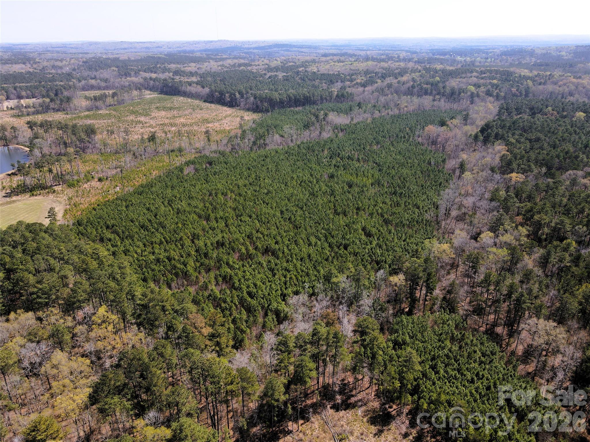 Looking SE from the NW - 01 Collins Mountain Road, Chapel Hill