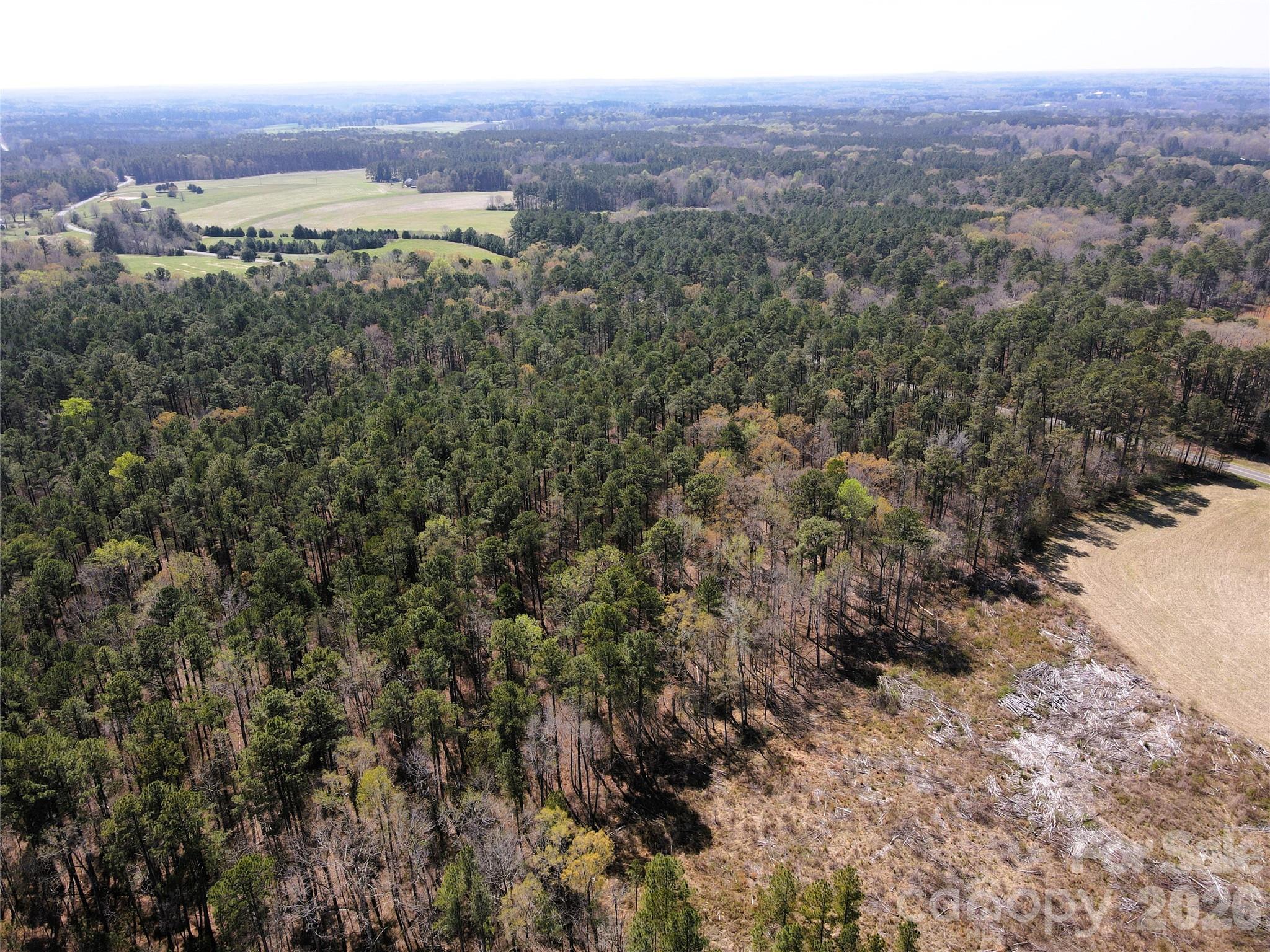 Looking SW from the NE - 01 Collins Mountain Road, Chapel Hill