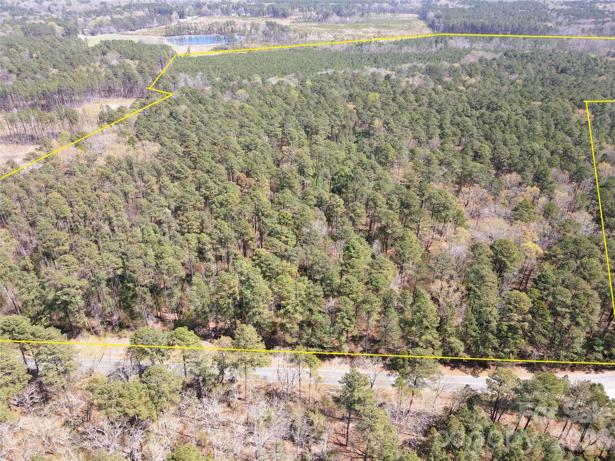 Looking East from across Collins Mountain Rd - 01 Collins Mountain Road, Chapel Hill