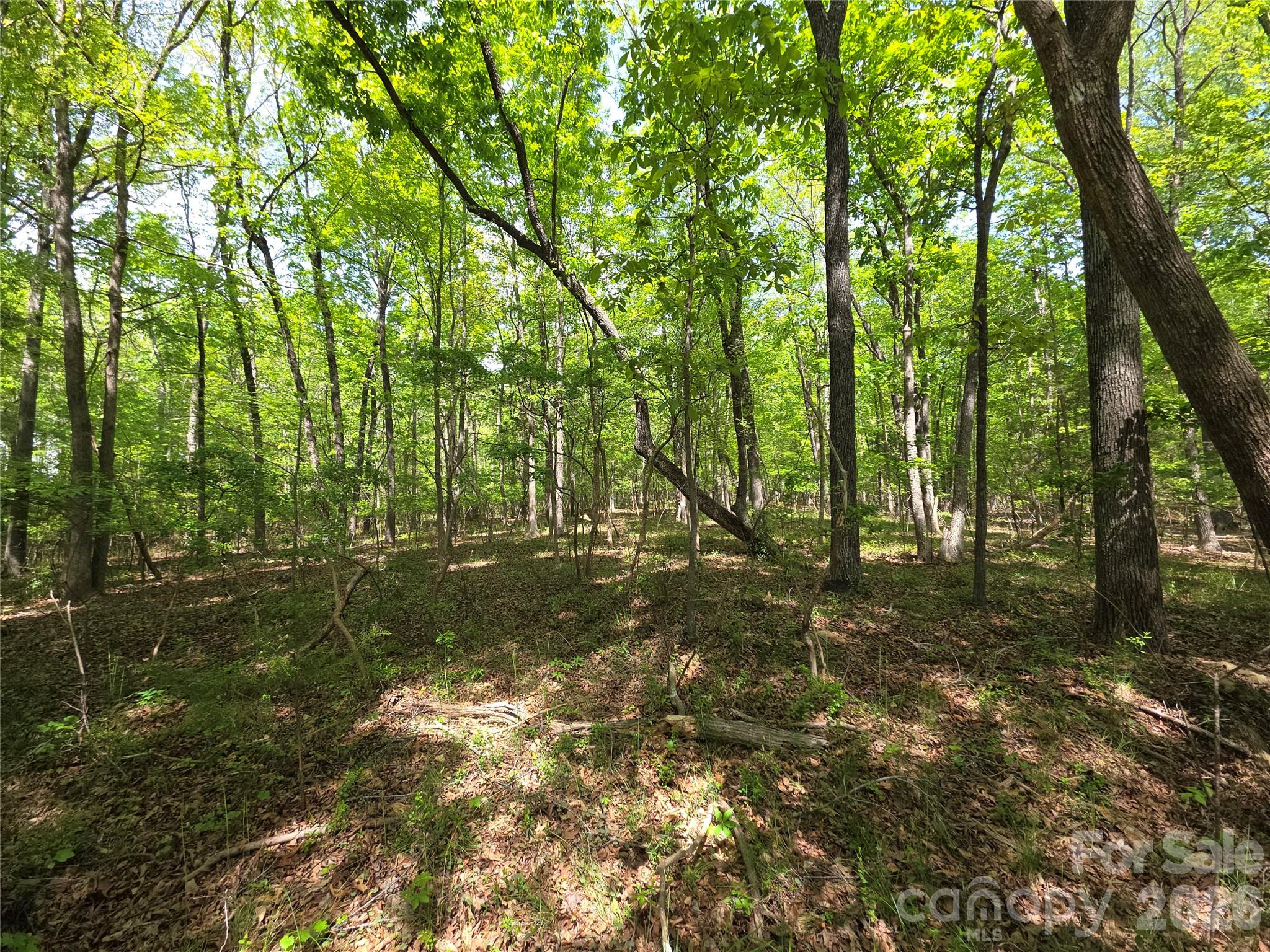 Acreage at Lot 5 Wolf Pond Road, Monroe, photo 6 of 11