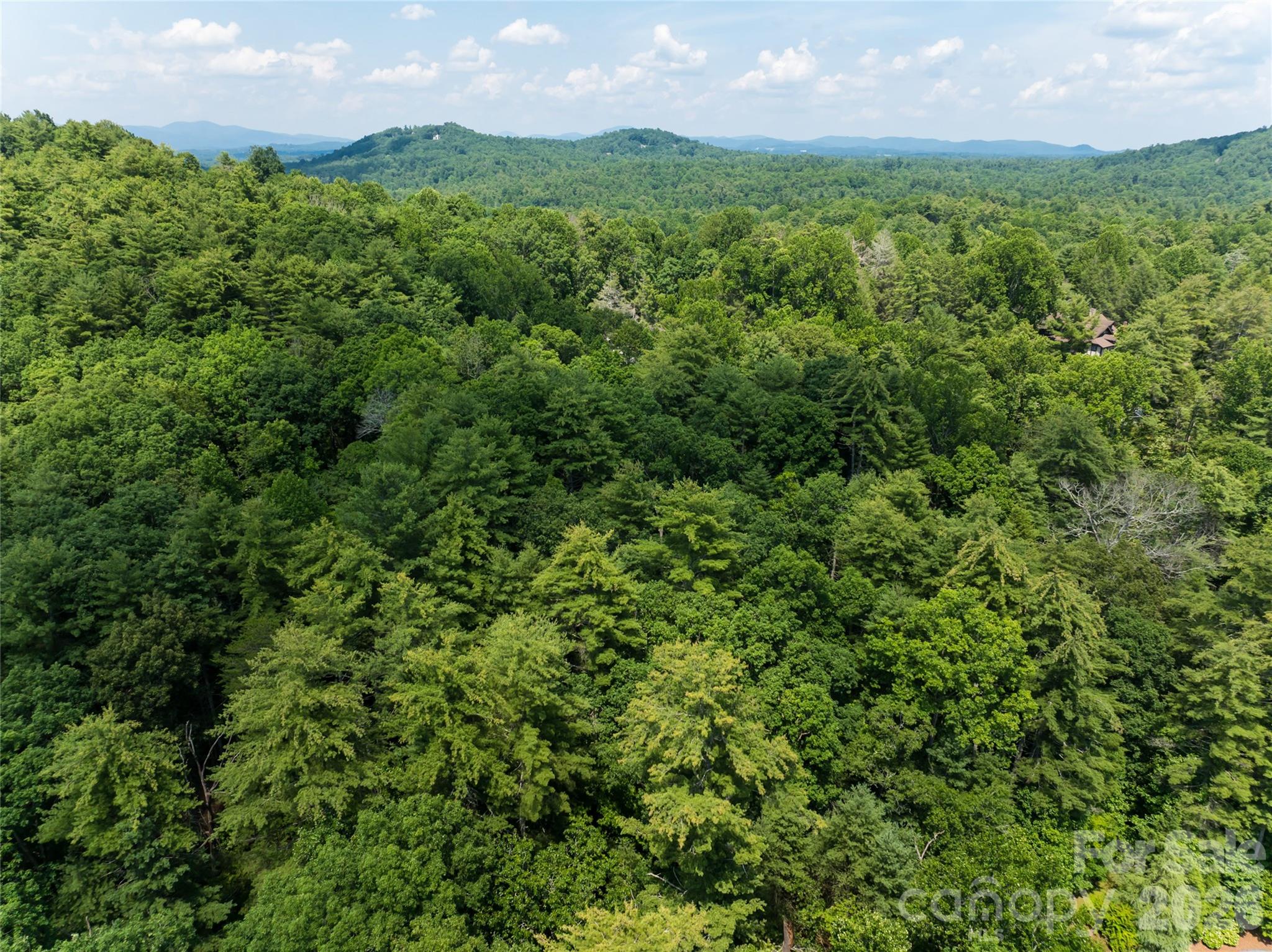 Single Family Residence at 34 Oak Gate Drive, Hendersonville, photo 5 of 16
