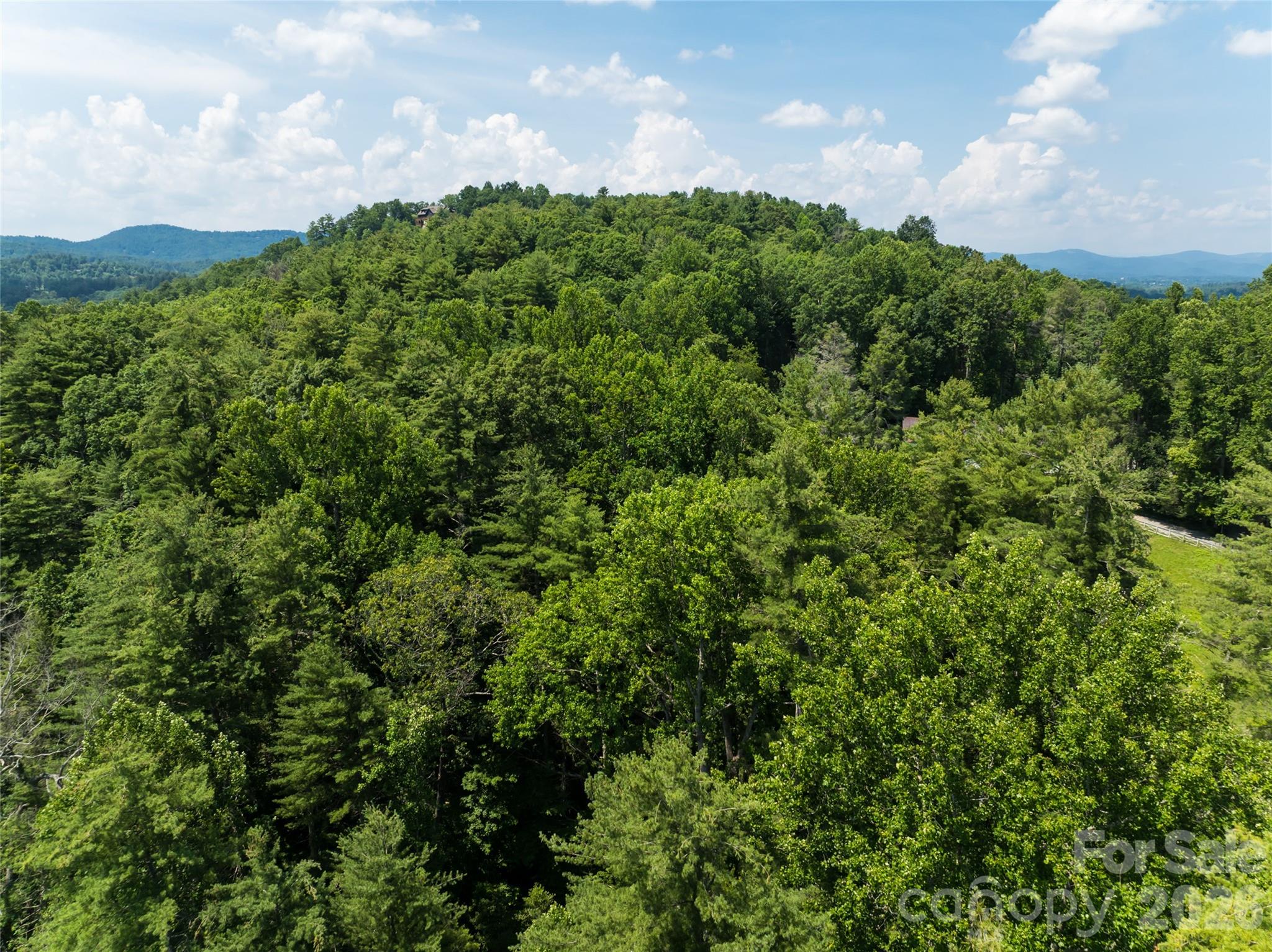 Single Family Residence at 34 Oak Gate Drive, Hendersonville, photo 6 of 16